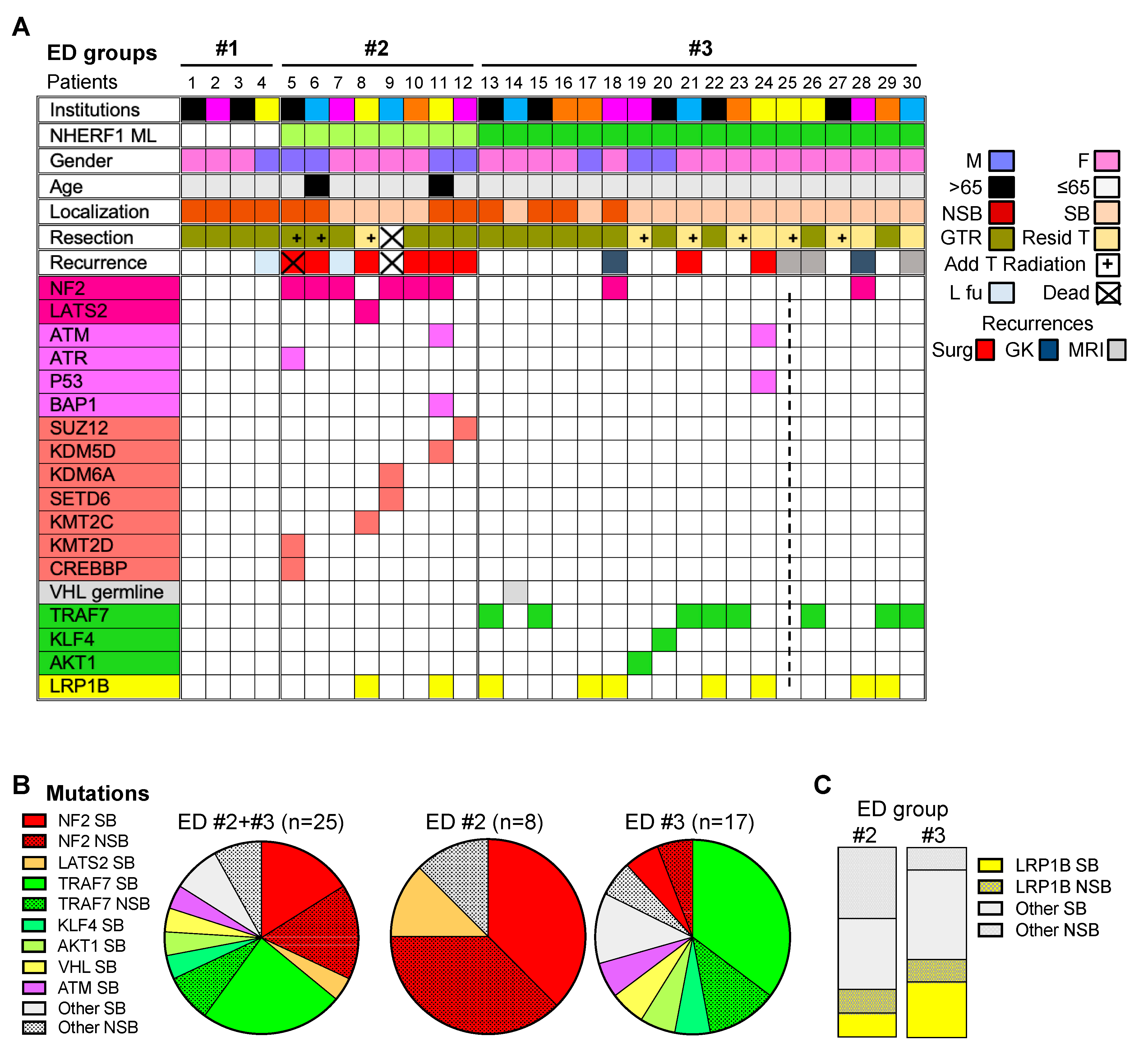 Cancers 12 00225 g002