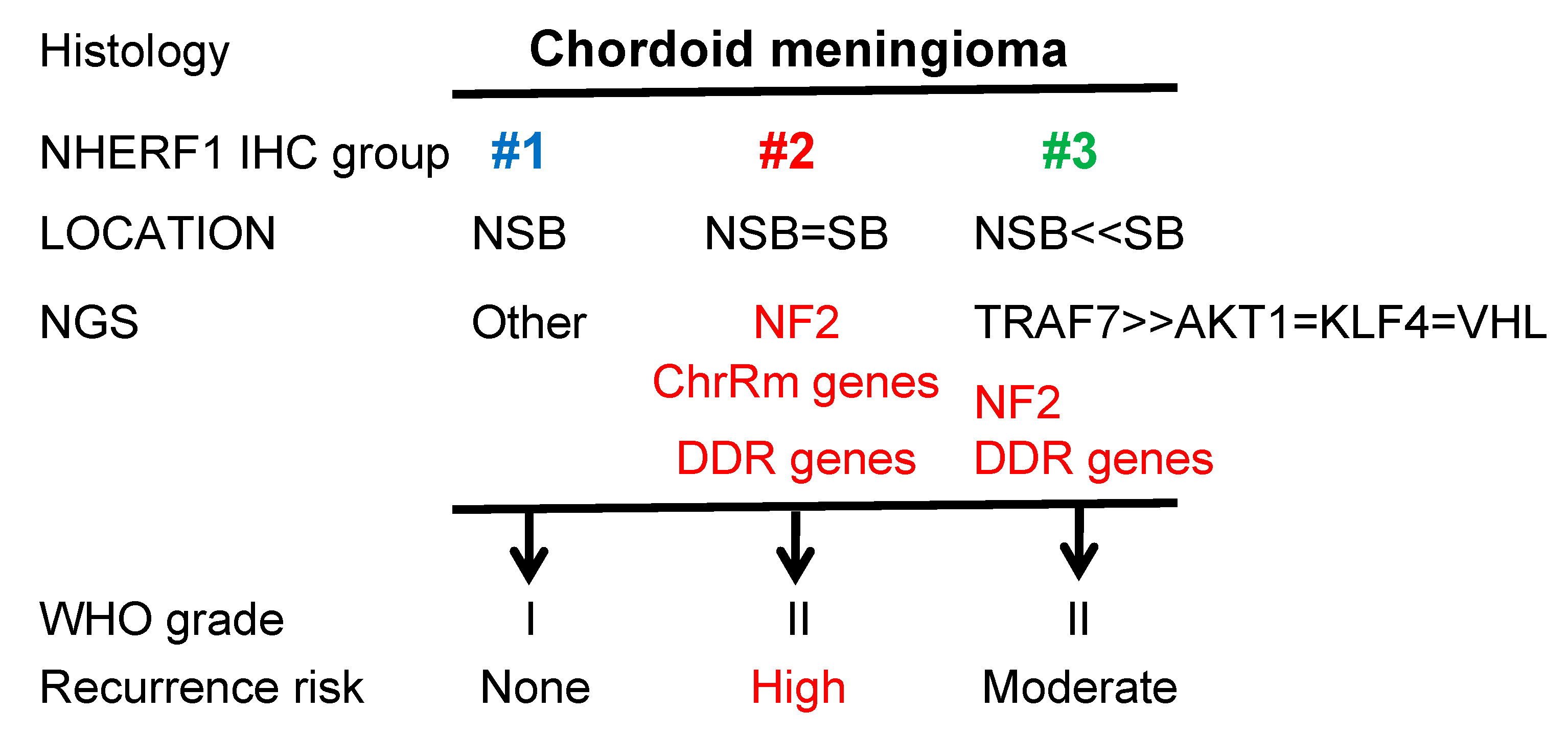 Cancers 12 00225 g005