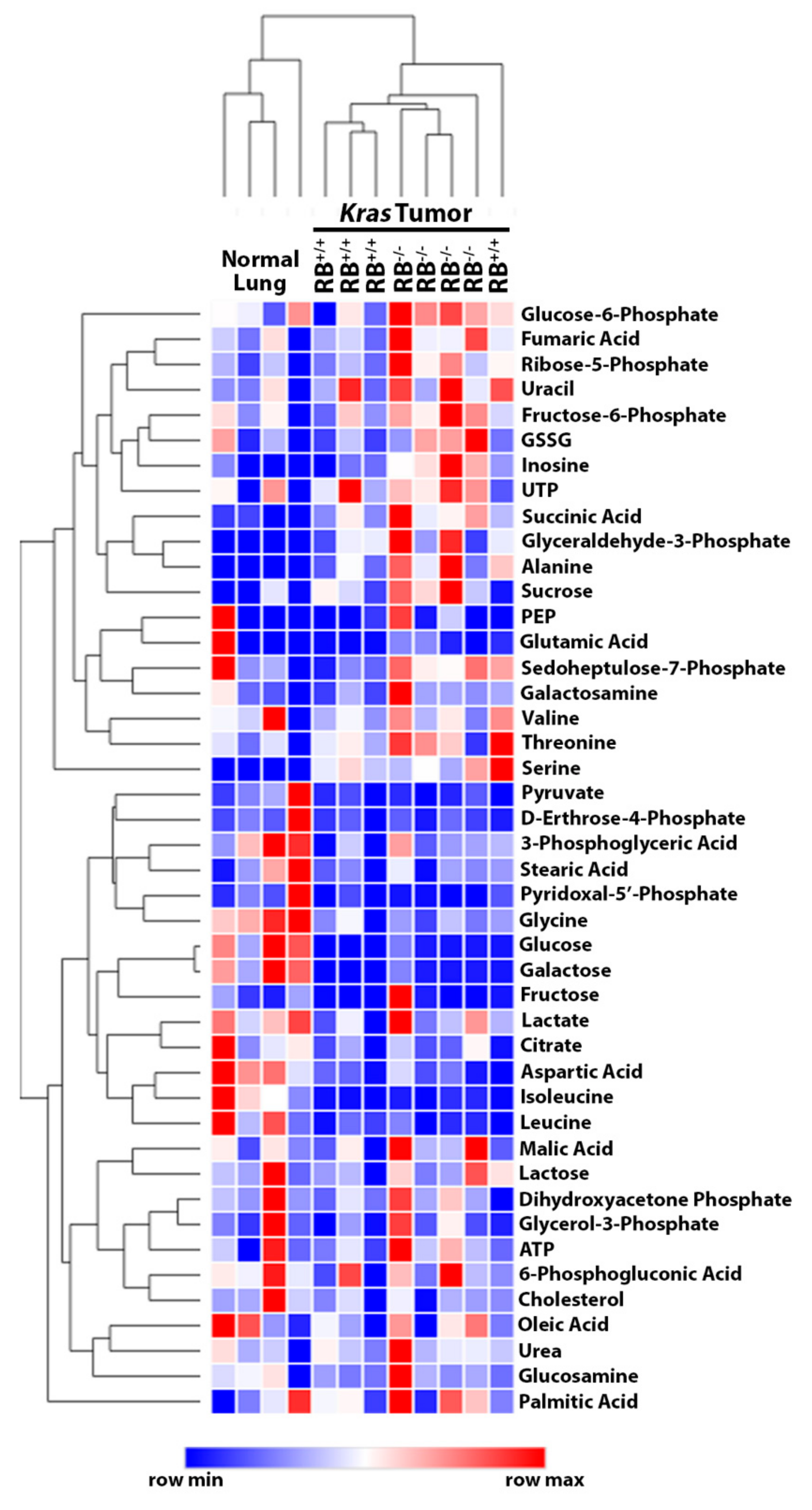 Cancers 12 00237 g002