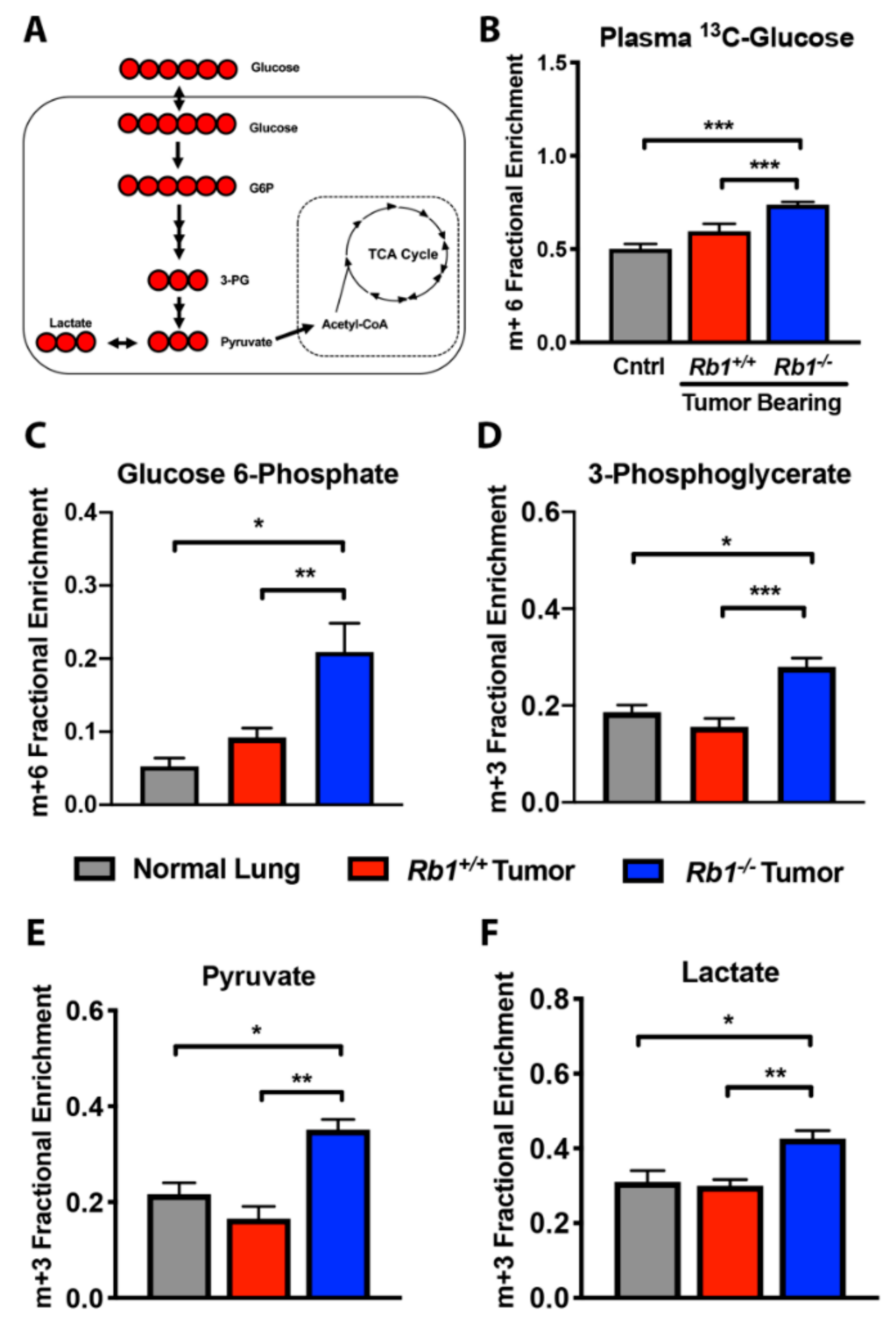 Cancers 12 00237 g003