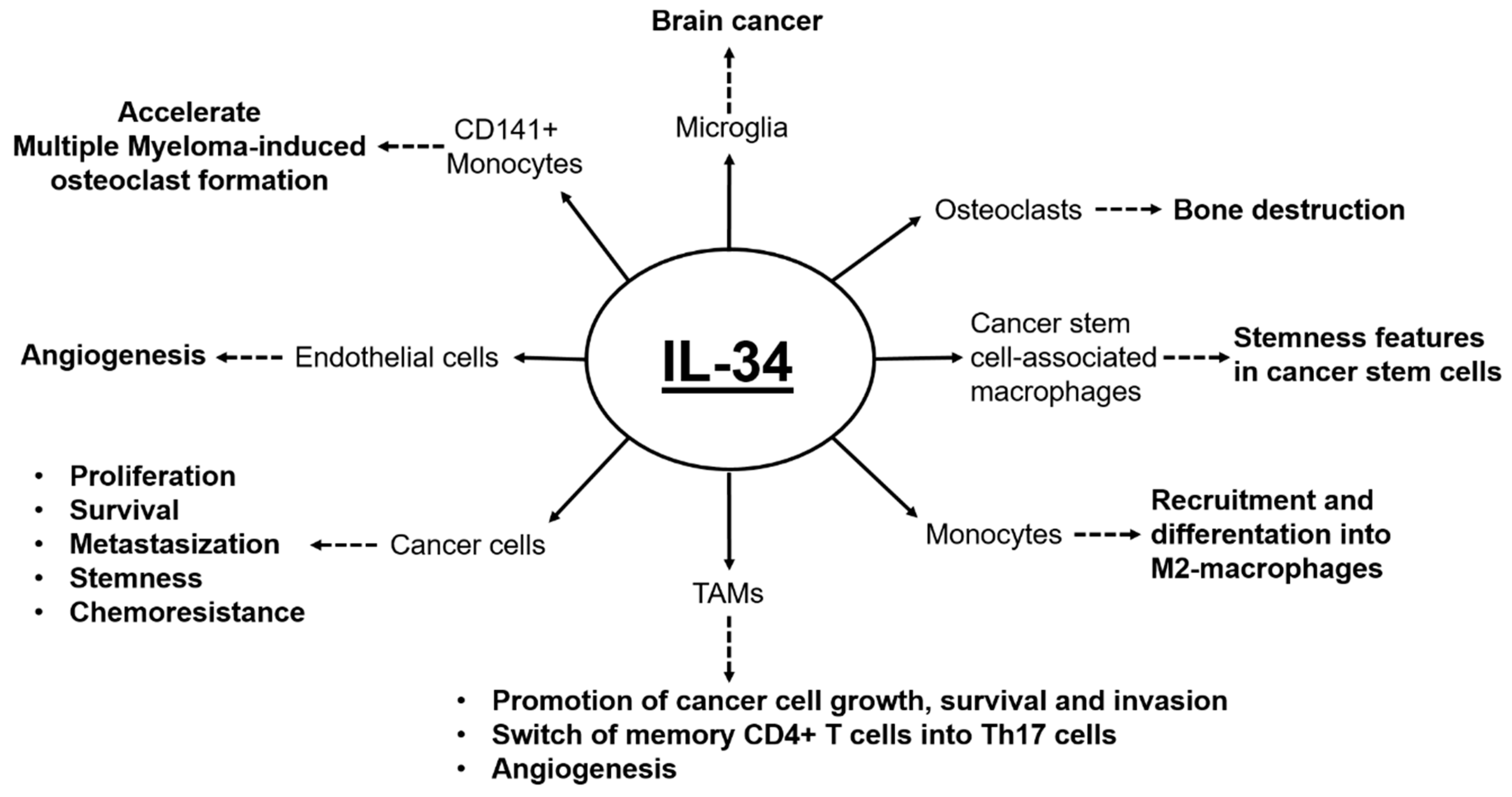Cancers 12 00252 g002 Cancers 12 00252 g002