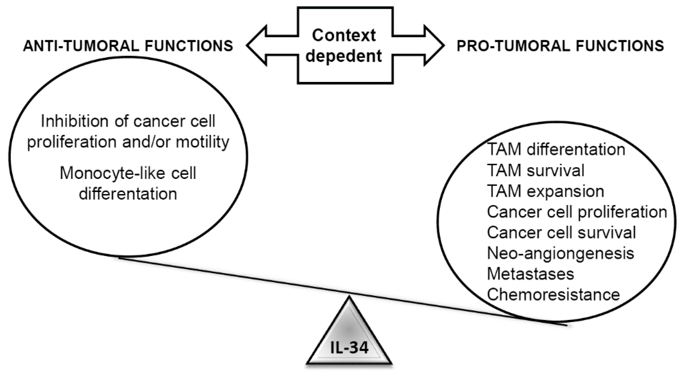 Cancers 12 00252 g003 Cancers 12 00252 g003