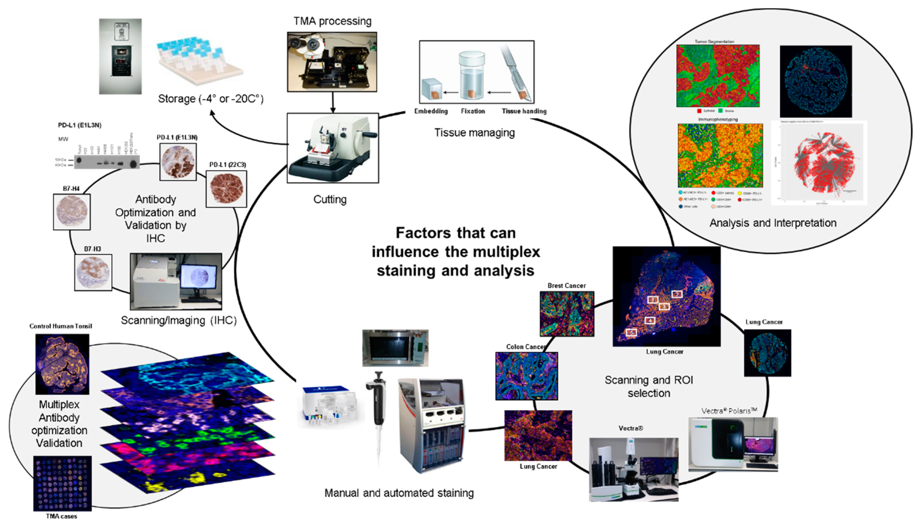 Cancers 12 00255 g001