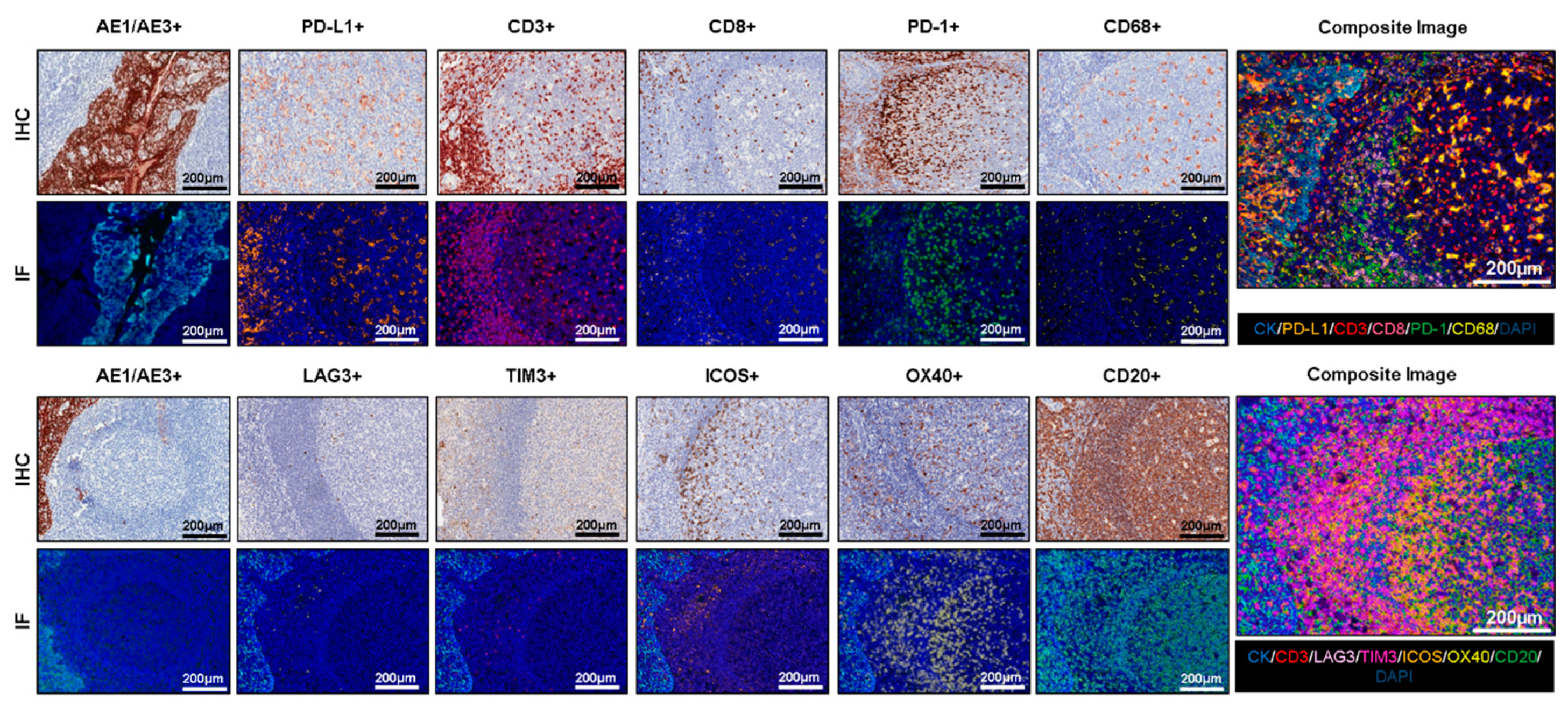 Cancers 12 00255 g002