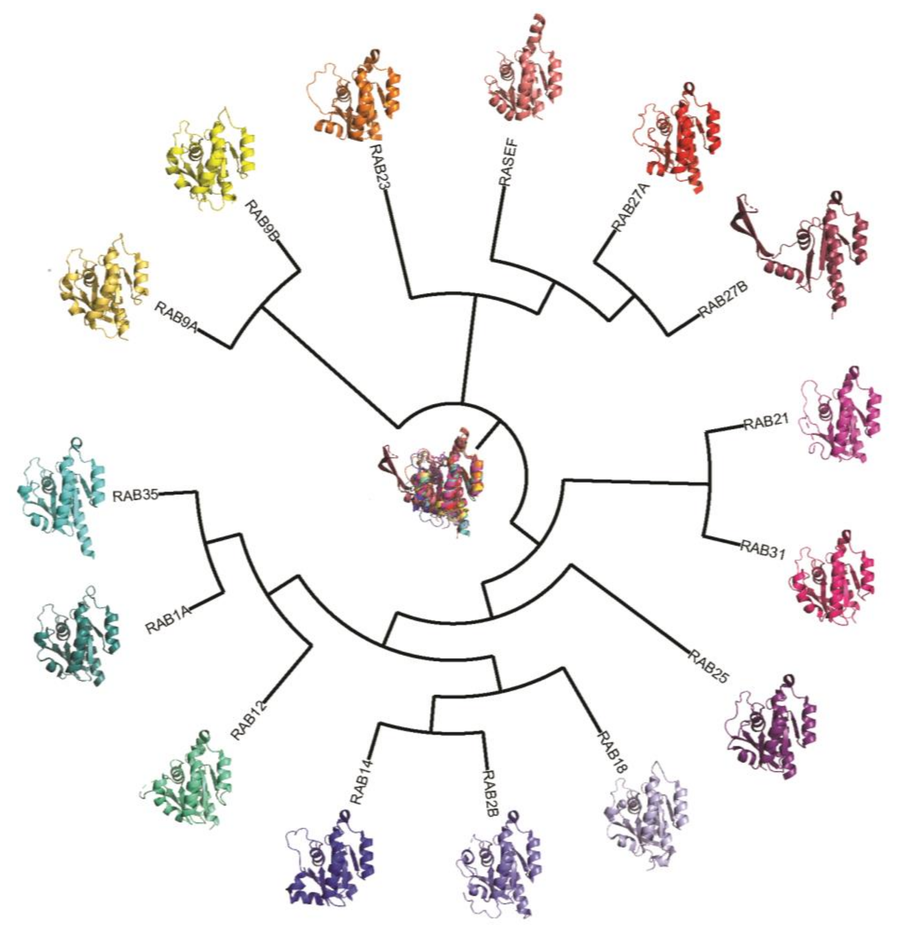 Cancers 12 00259 g003