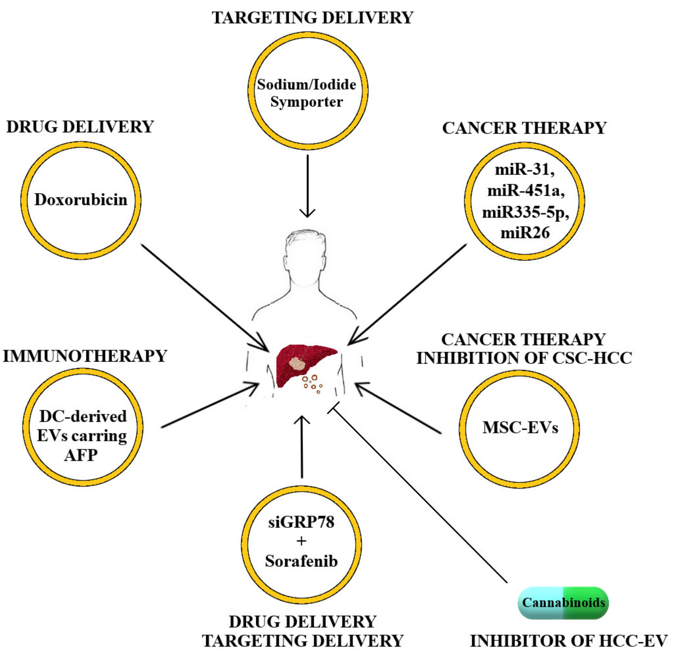 Cancers 12 00261 g001