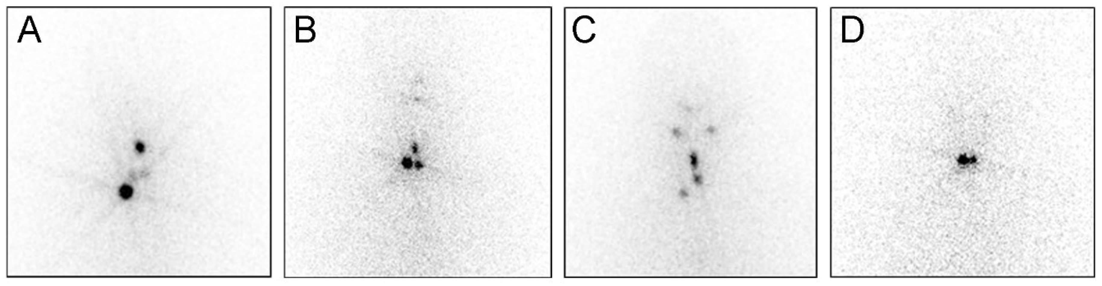 Cancers 12 00262 g002