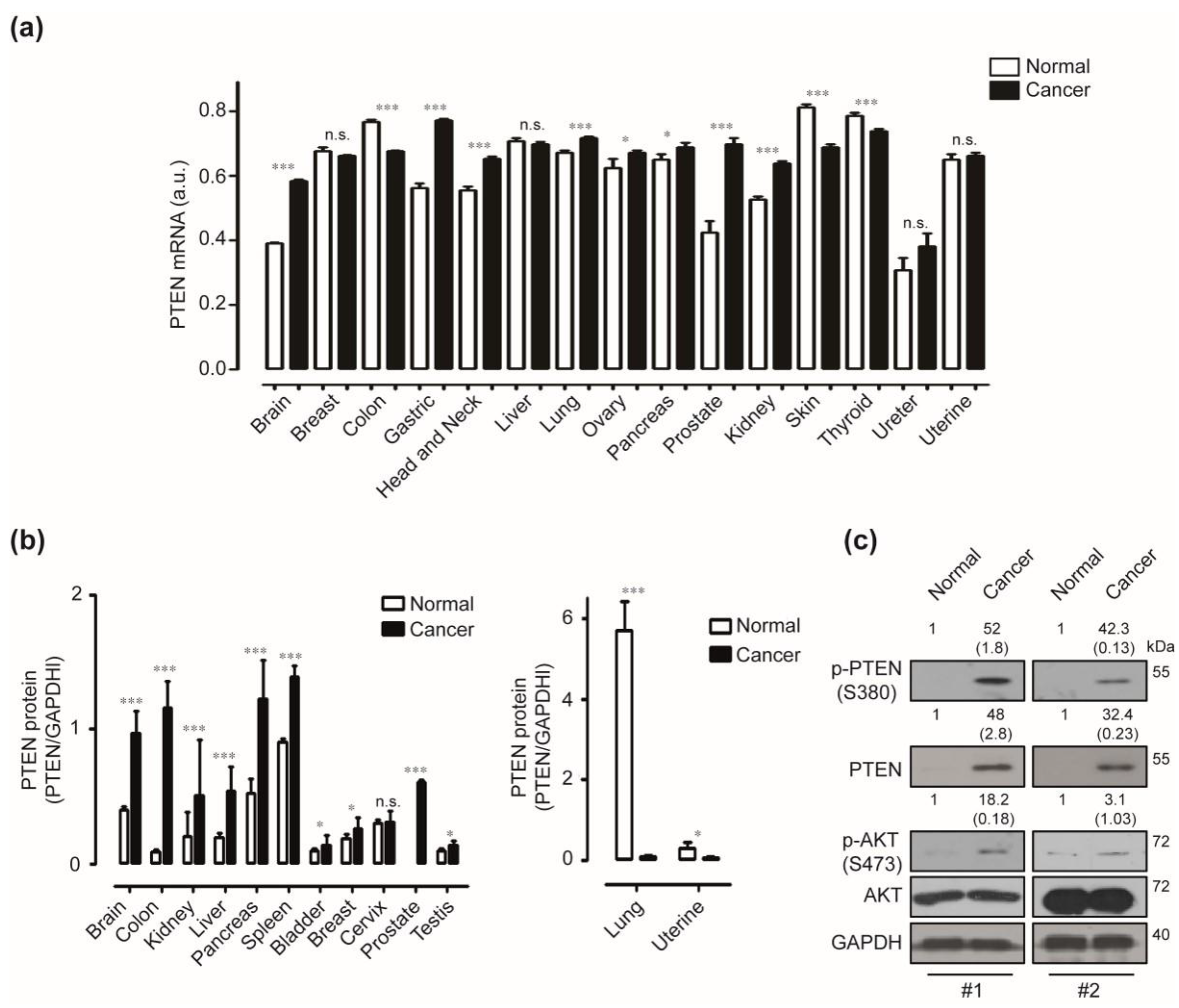 Cancers 12 00277 g001