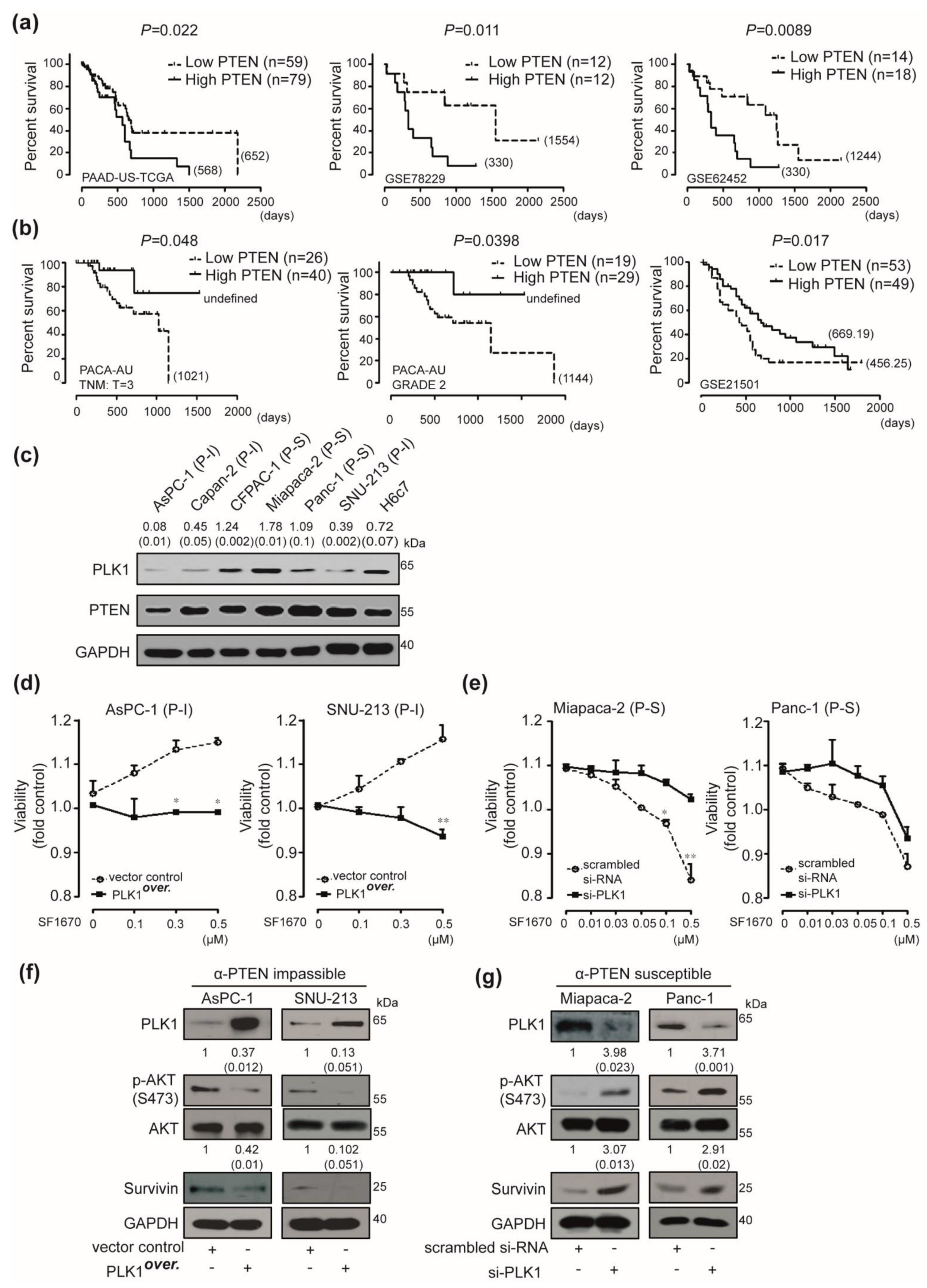 Cancers 12 00277 g004