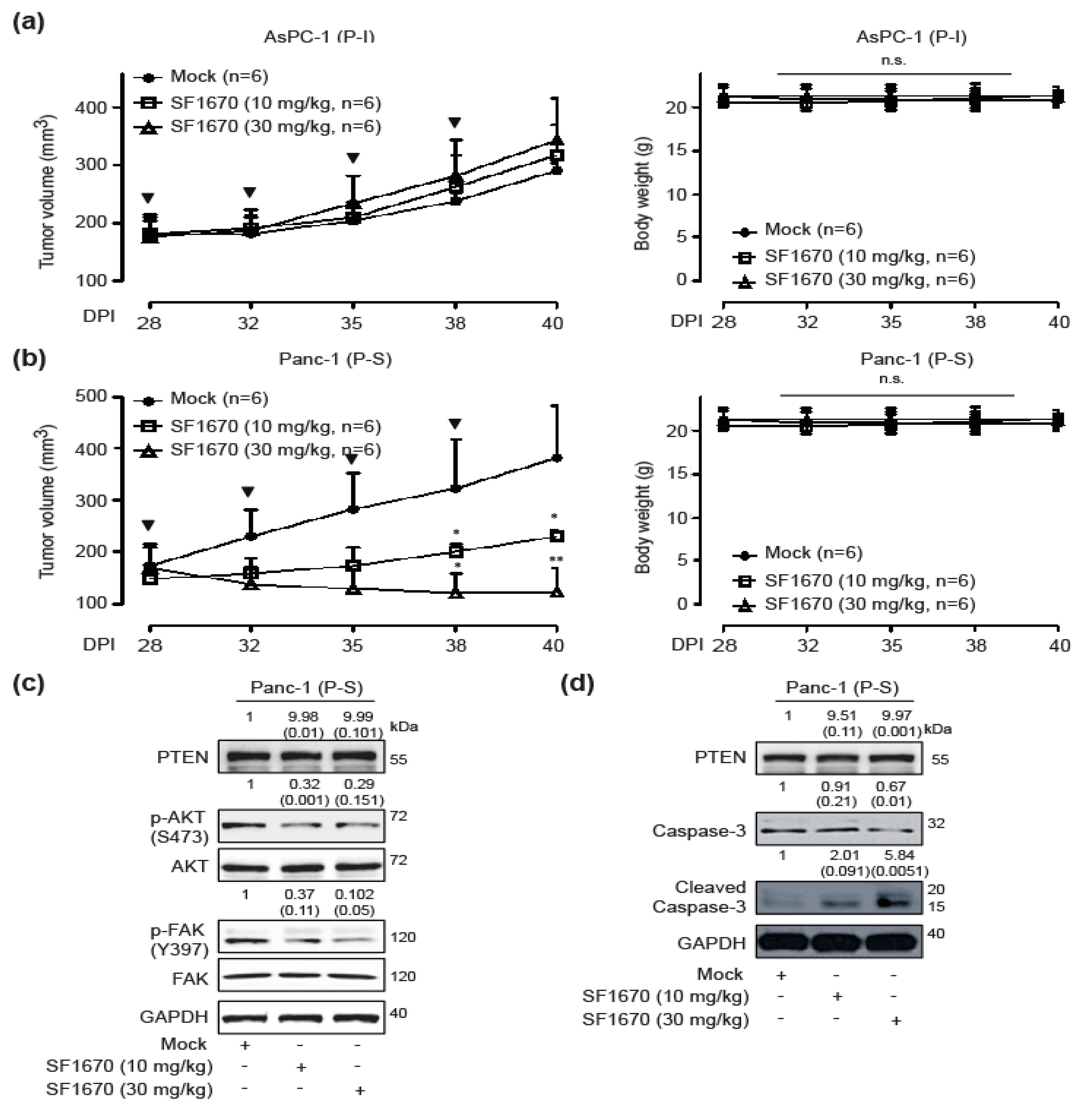 Cancers 12 00277 g005