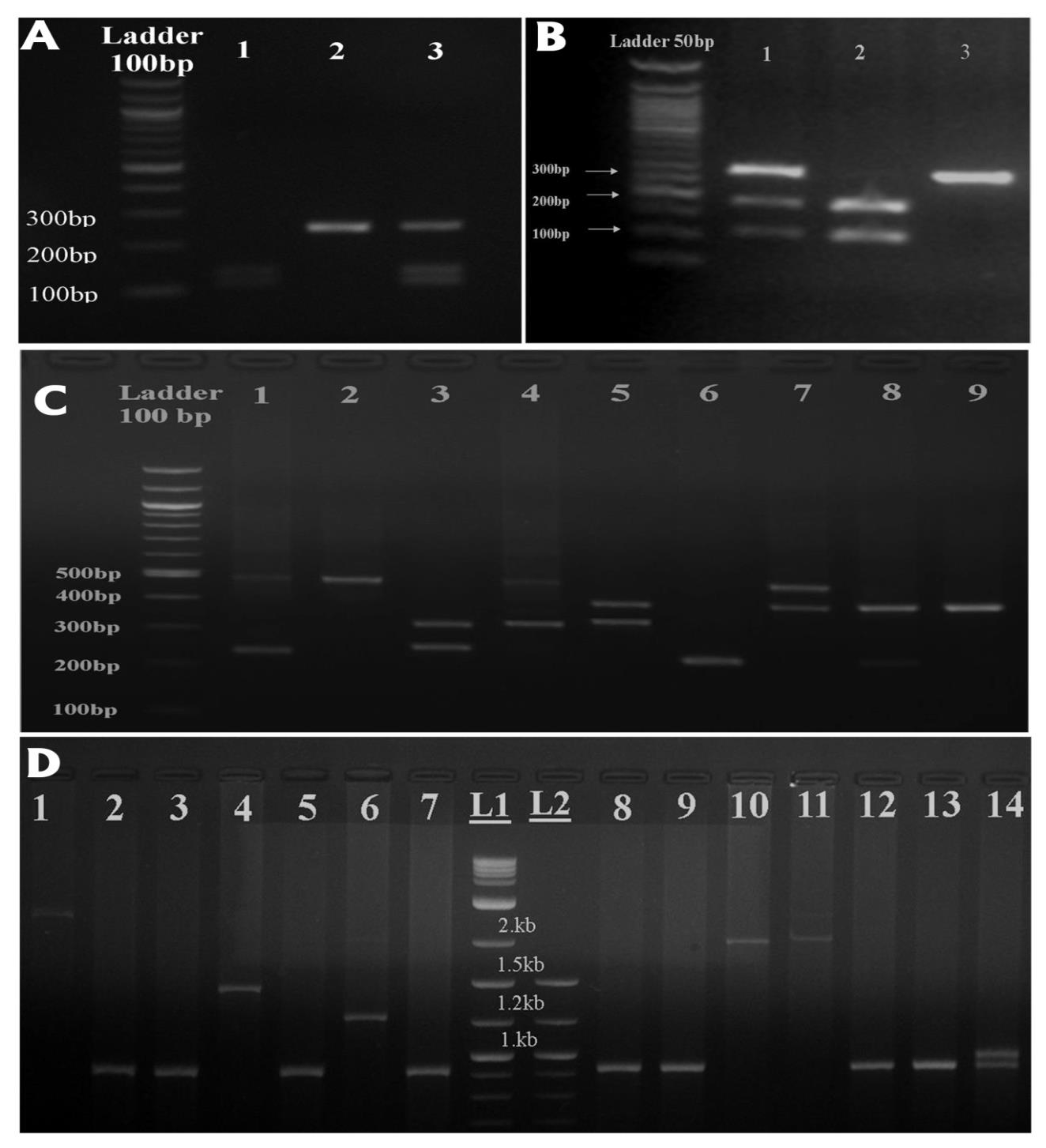 Cancers 12 00283 g001