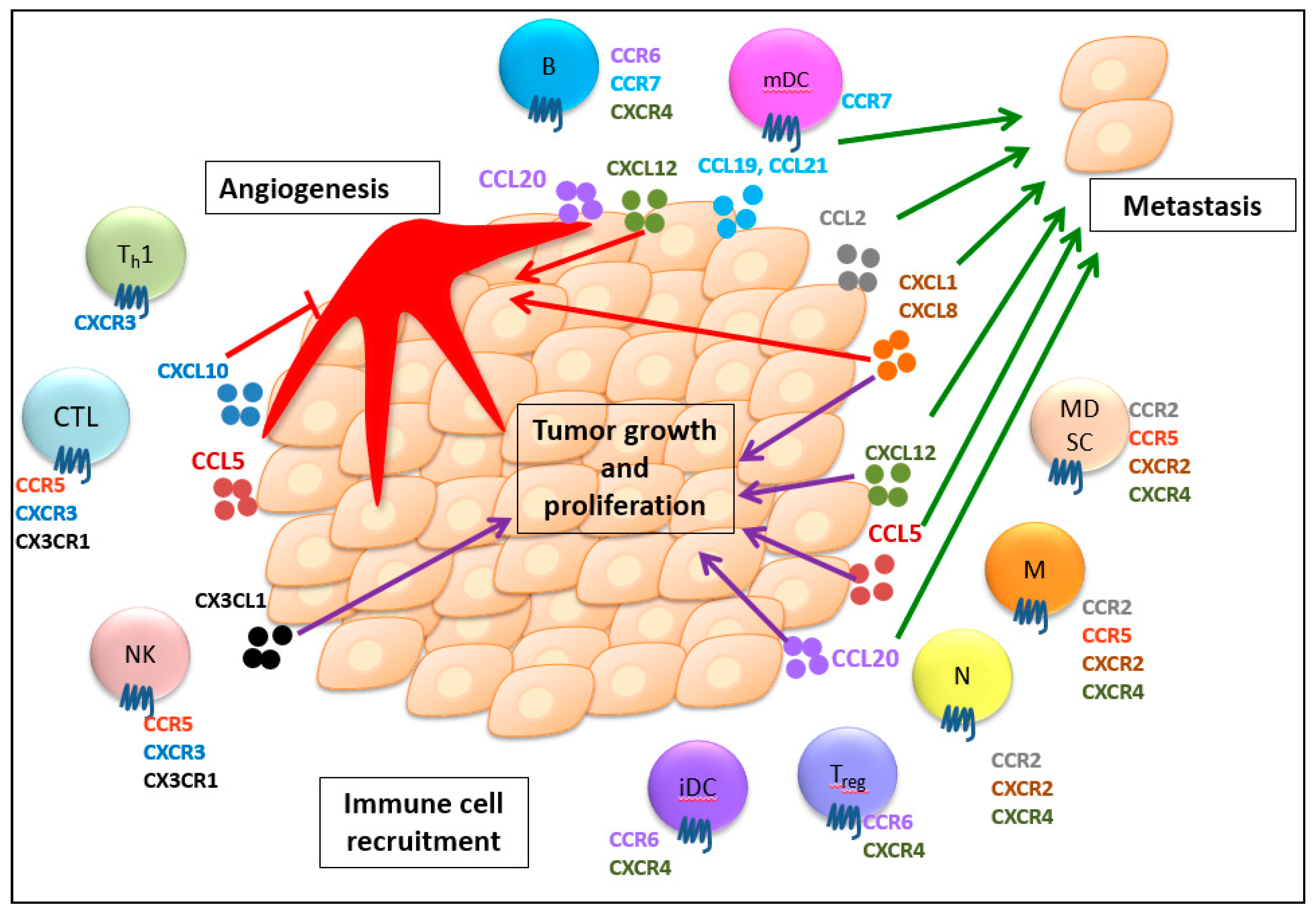 Cancers 12 00287 g001 Cancers 12 00287 g001