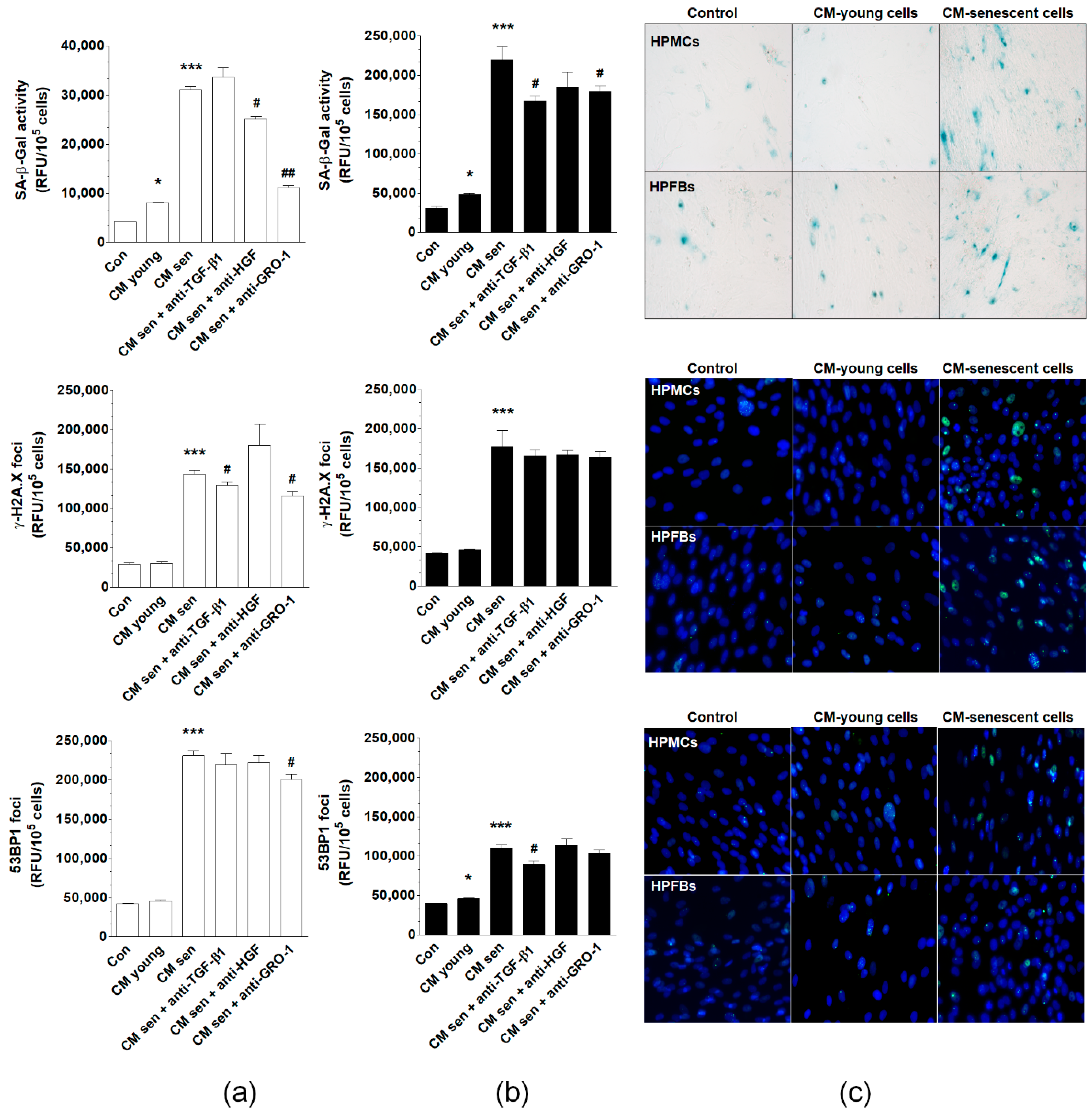 Cancers 12 00296 g007