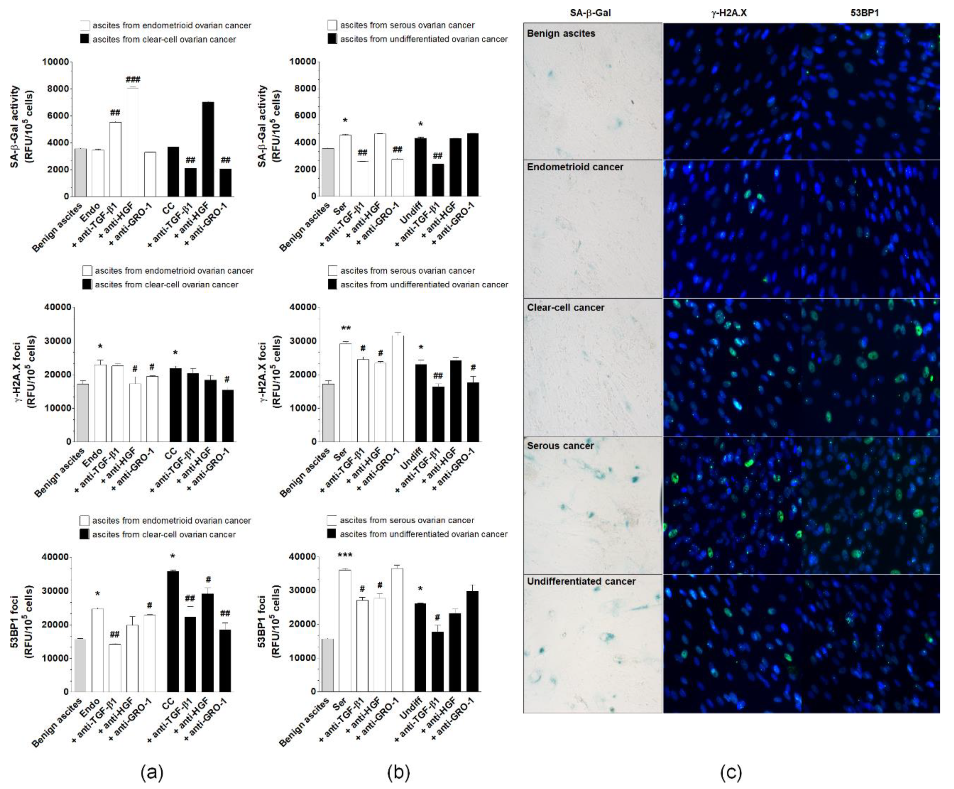 Cancers 12 00296 g008