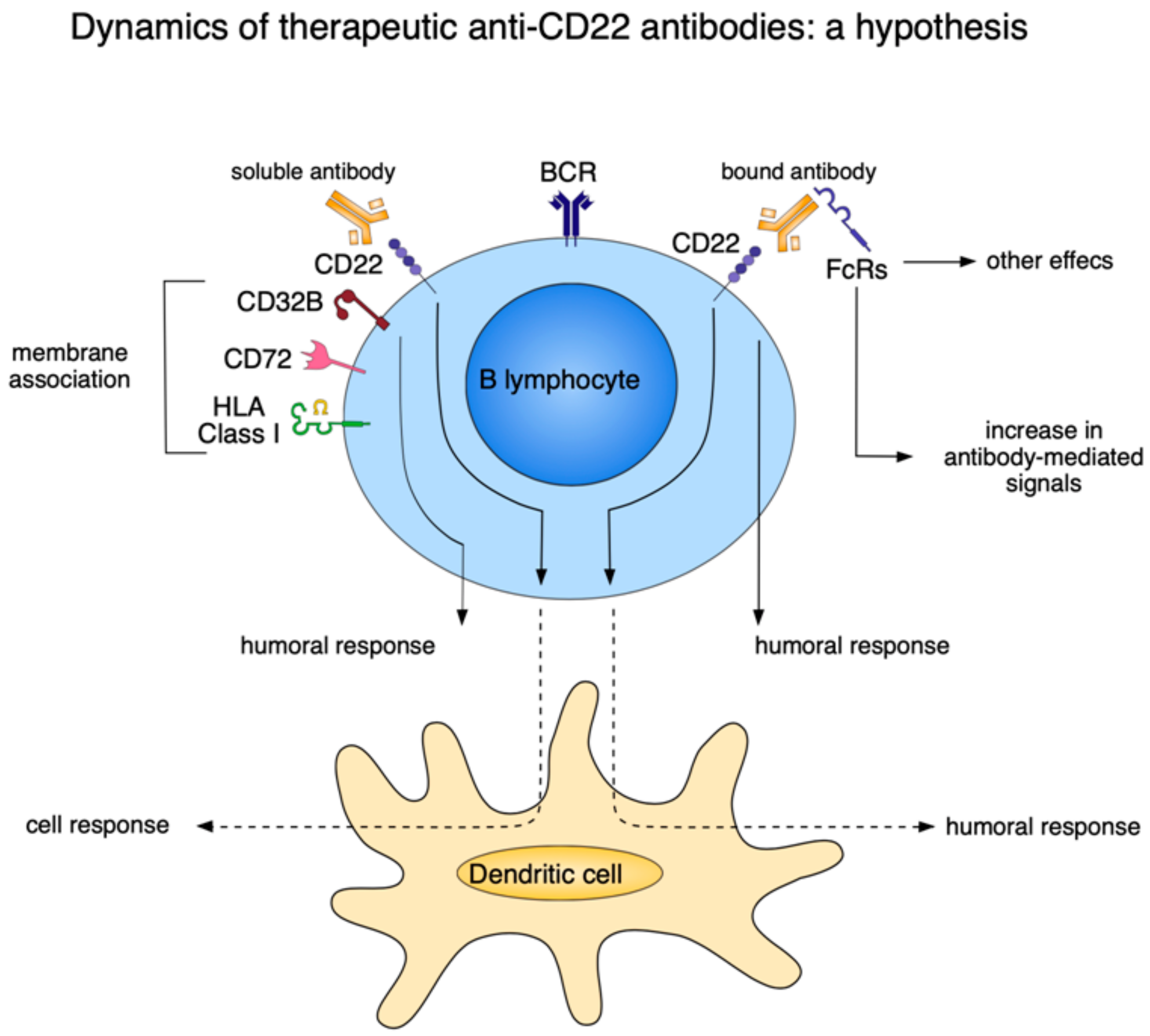 Cancers 12 00303 g004