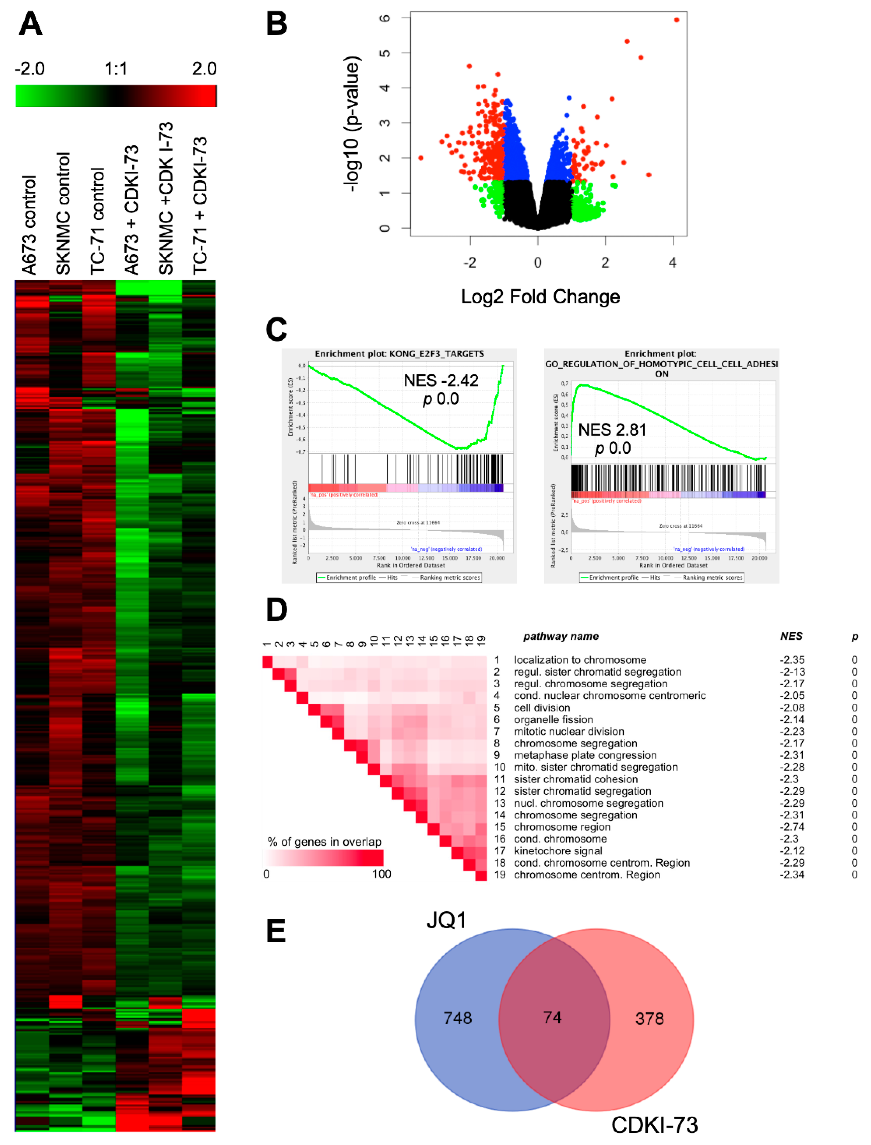 Cancers 12 00304 g003