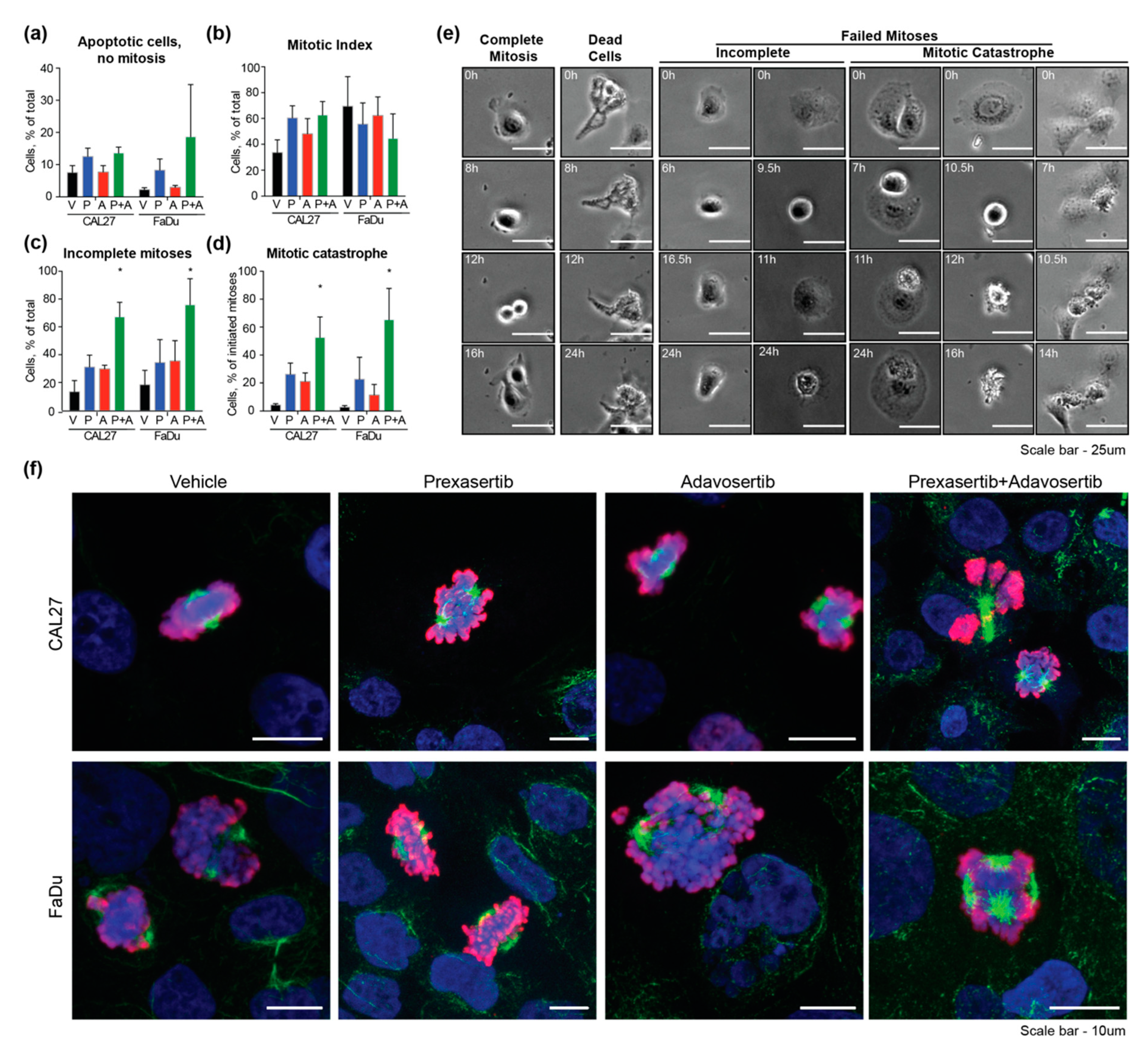 Cancers 12 00306 g005
