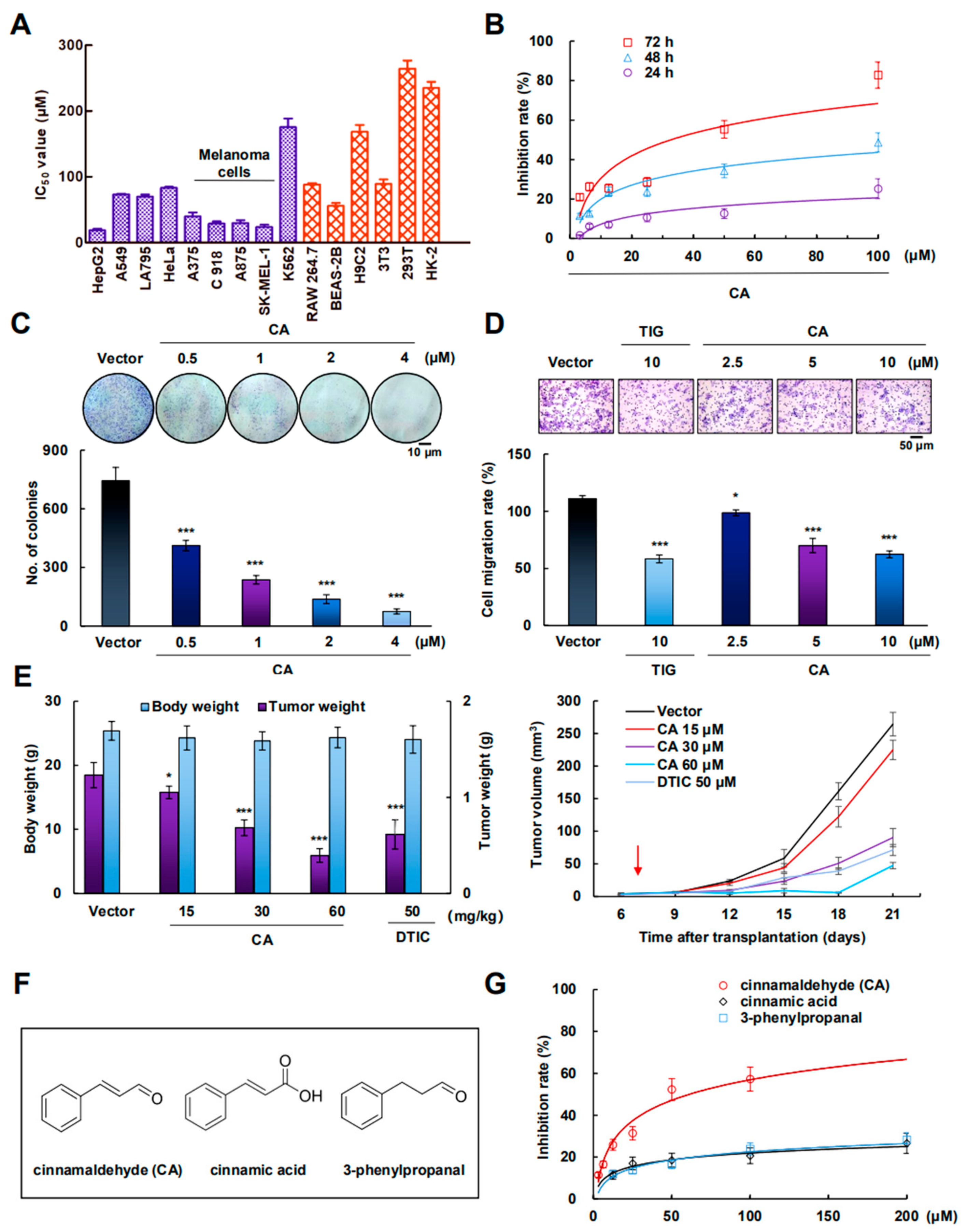Cancers 12 00311 g001