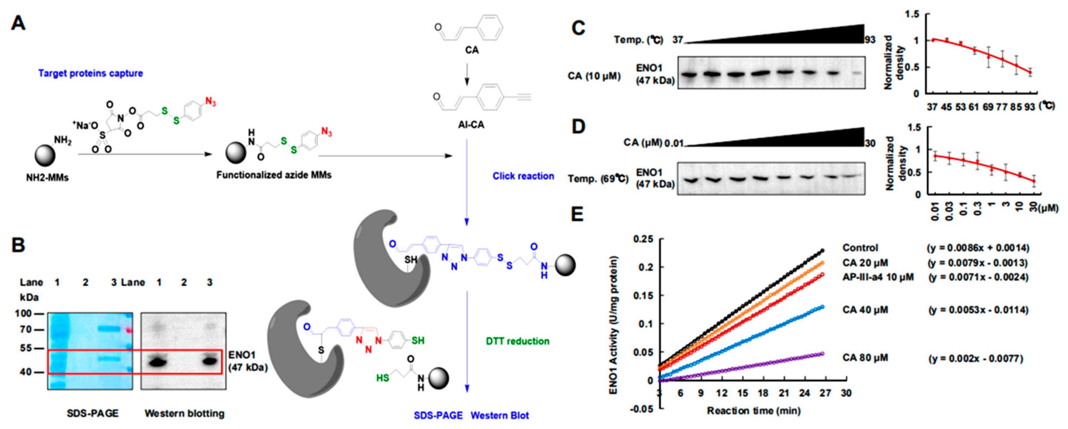 Cancers 12 00311 g002