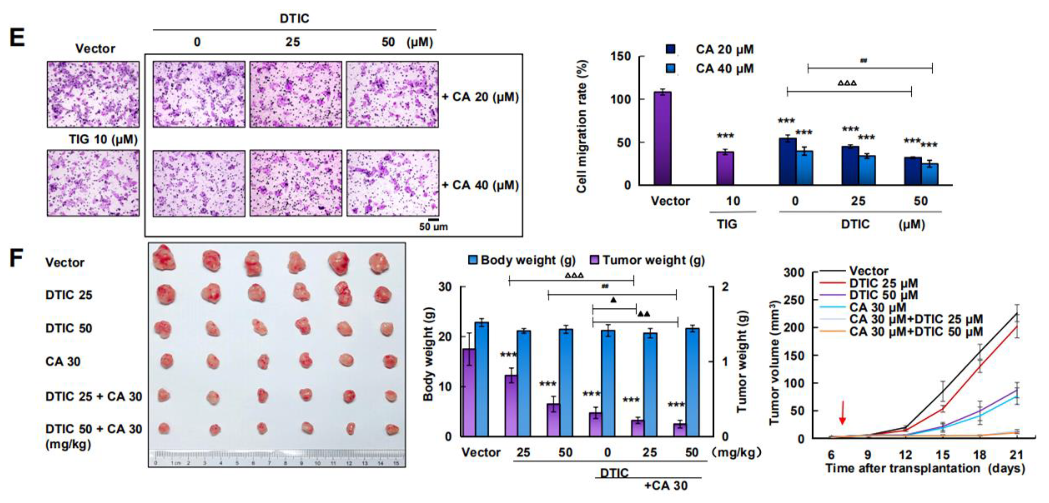 Cancers 12 00311 g005b