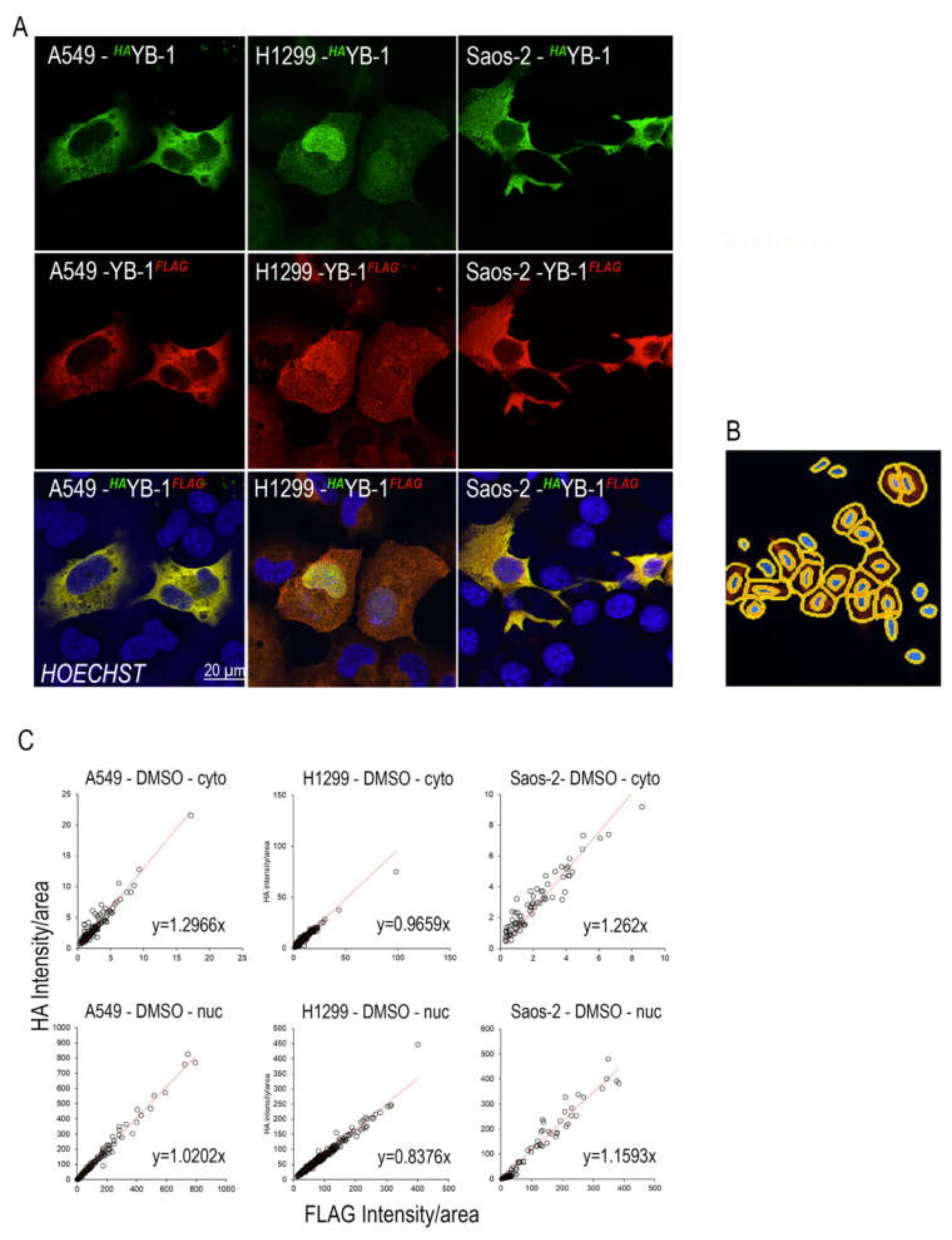 Cancers 12 00315 g001 Cancers 12 00315 g001