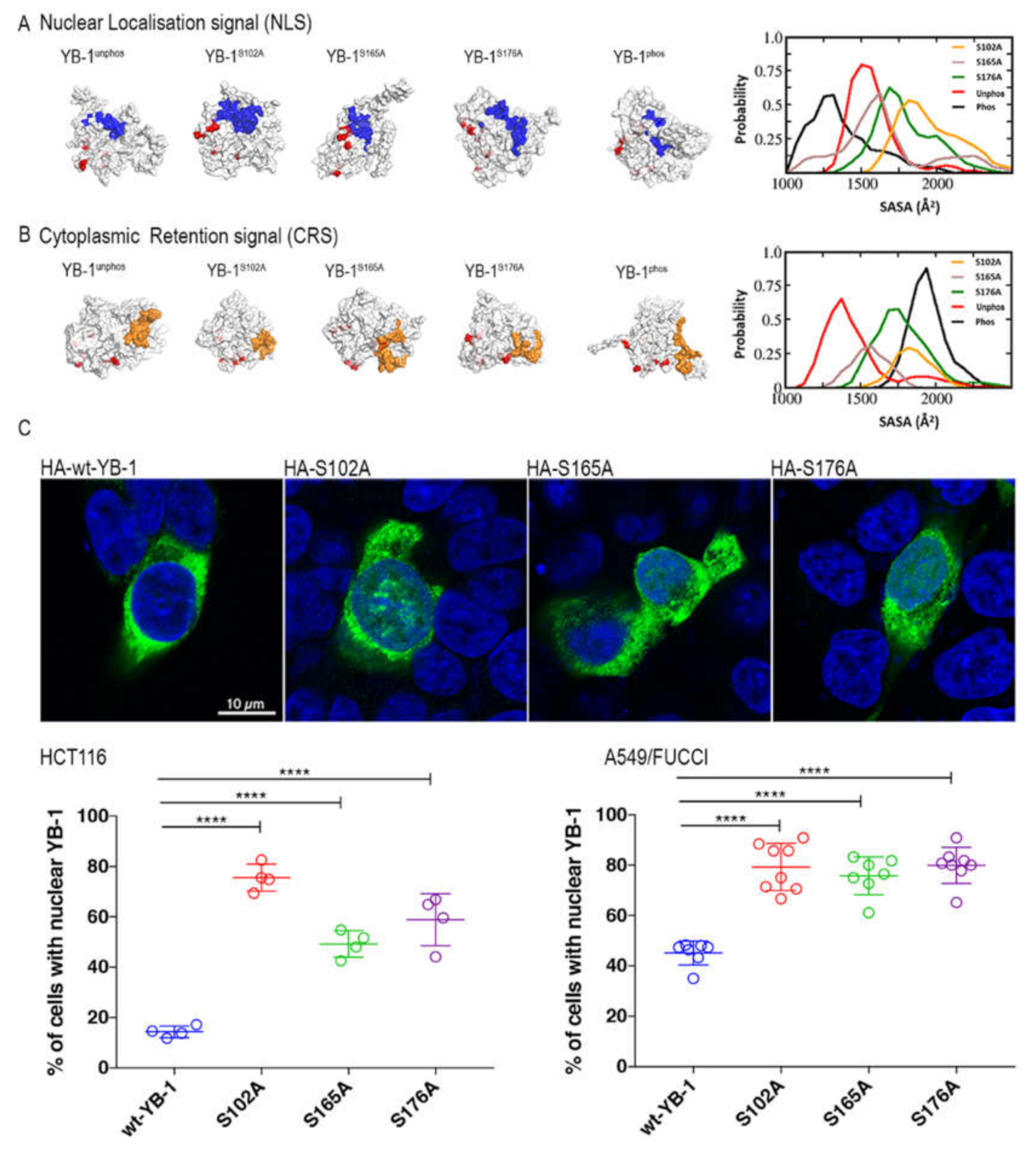 Cancers 12 00315 g005 Cancers 12 00315 g005