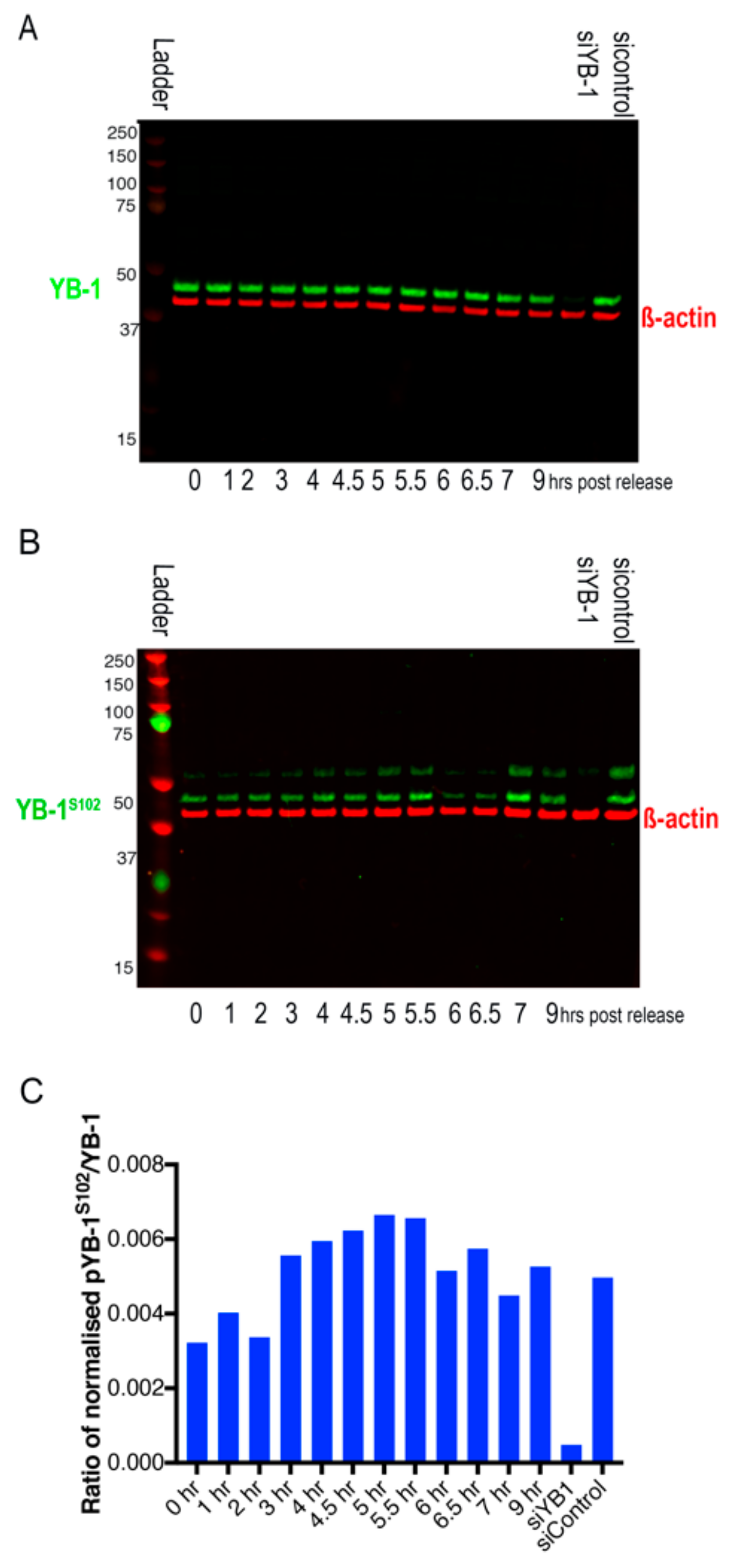 Cancers 12 00315 g006 Cancers 12 00315 g006