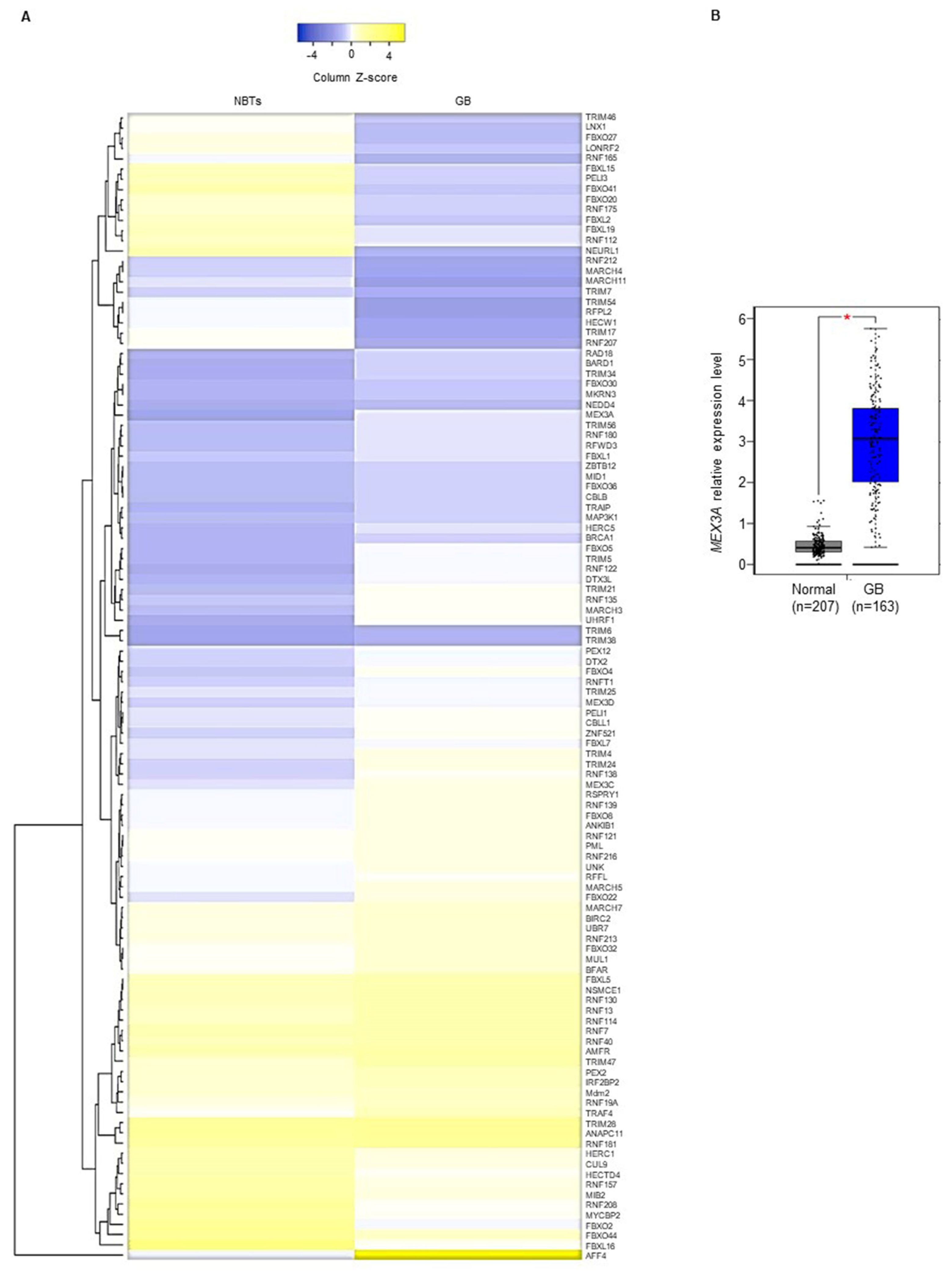 Cancers 12 00321 g001
