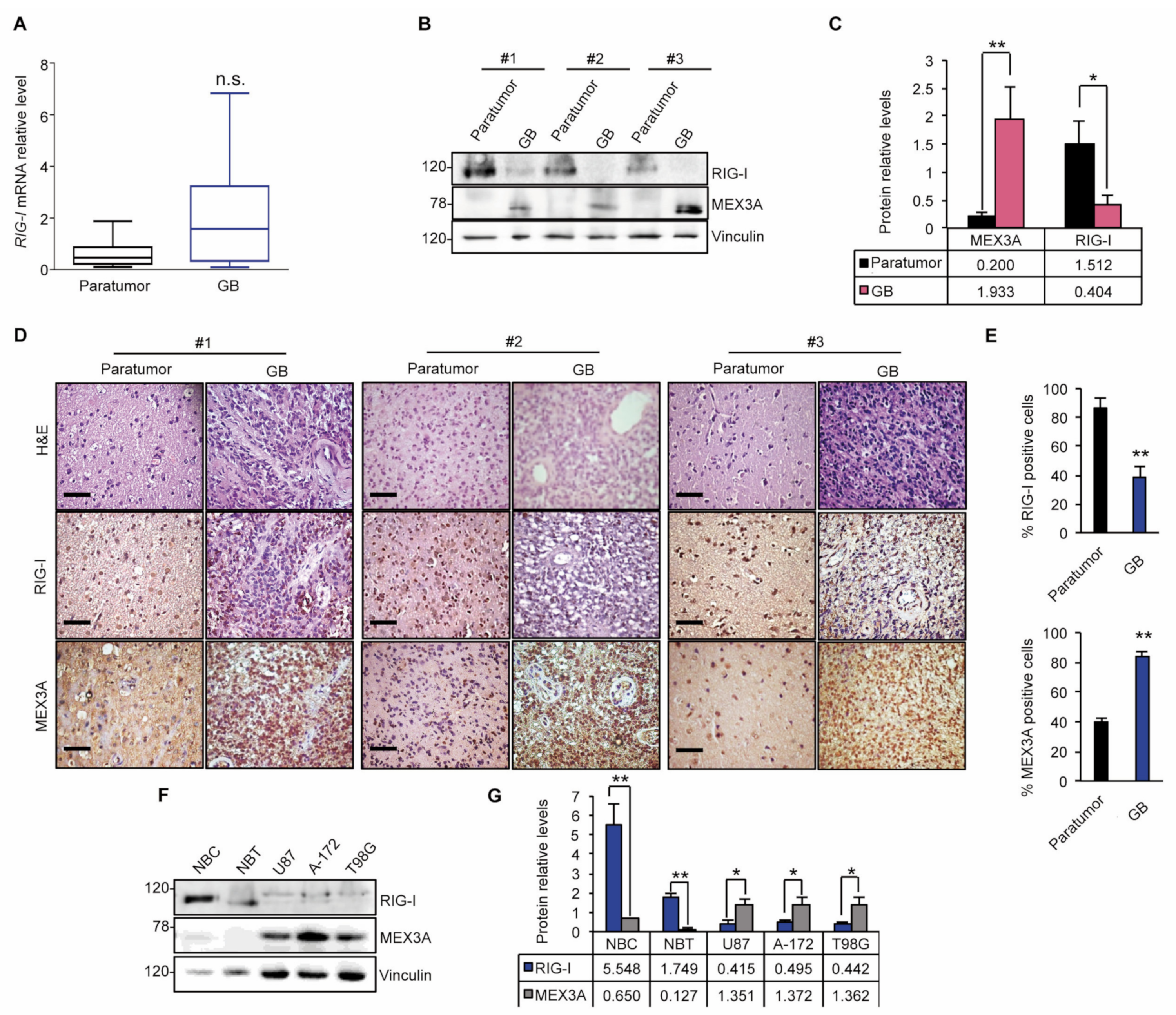 Cancers 12 00321 g003