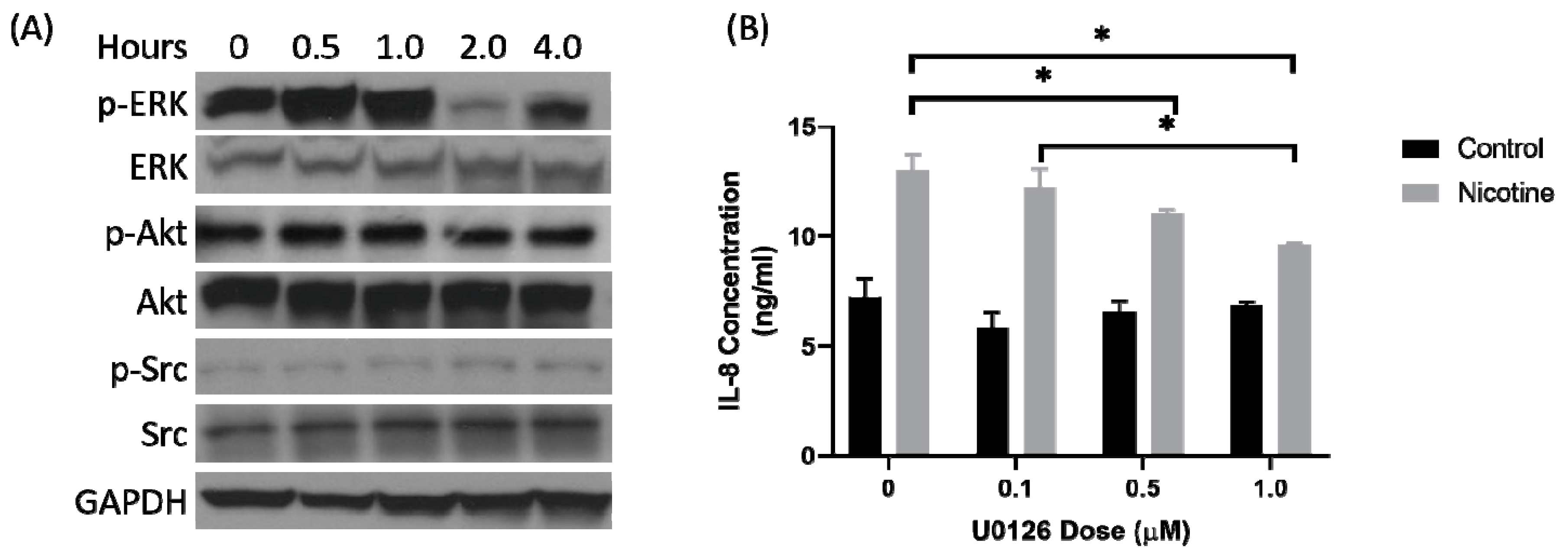 Cancers 12 00329 g002