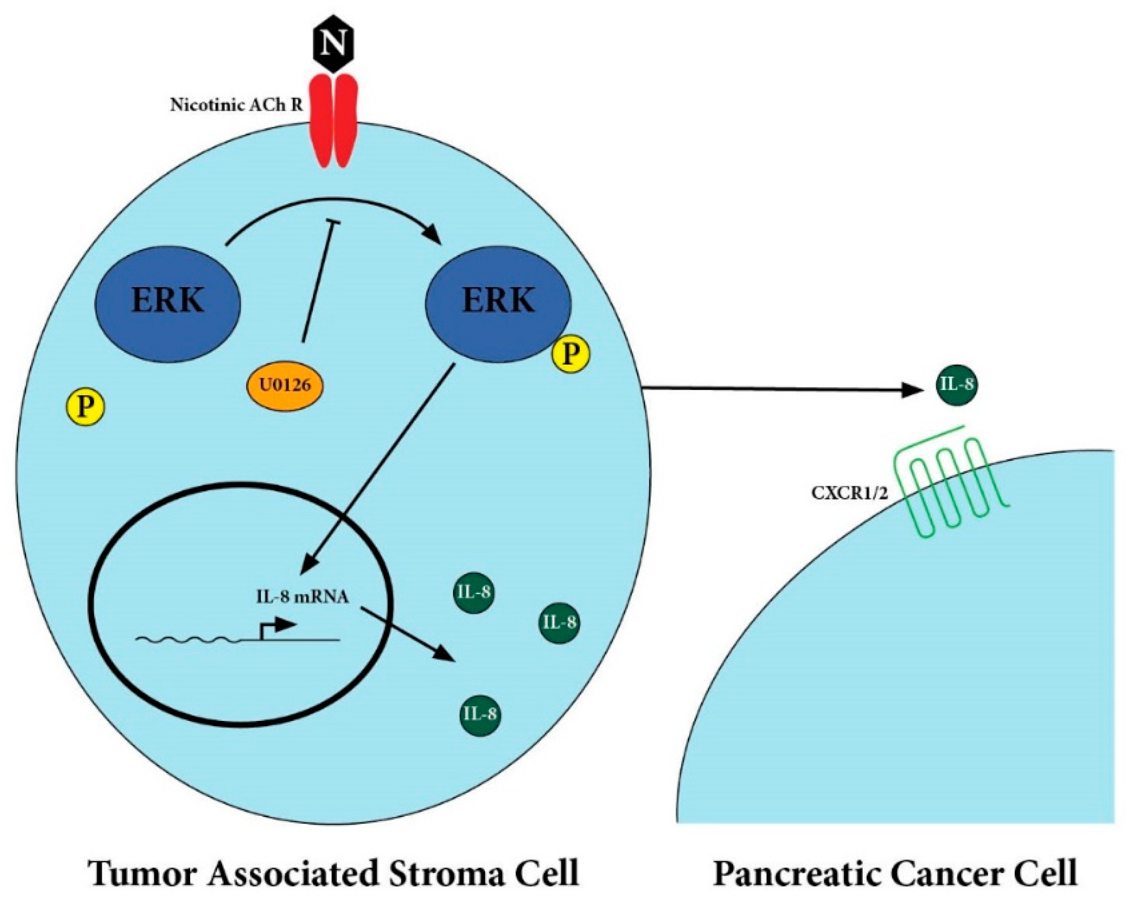 Cancers 12 00329 g005