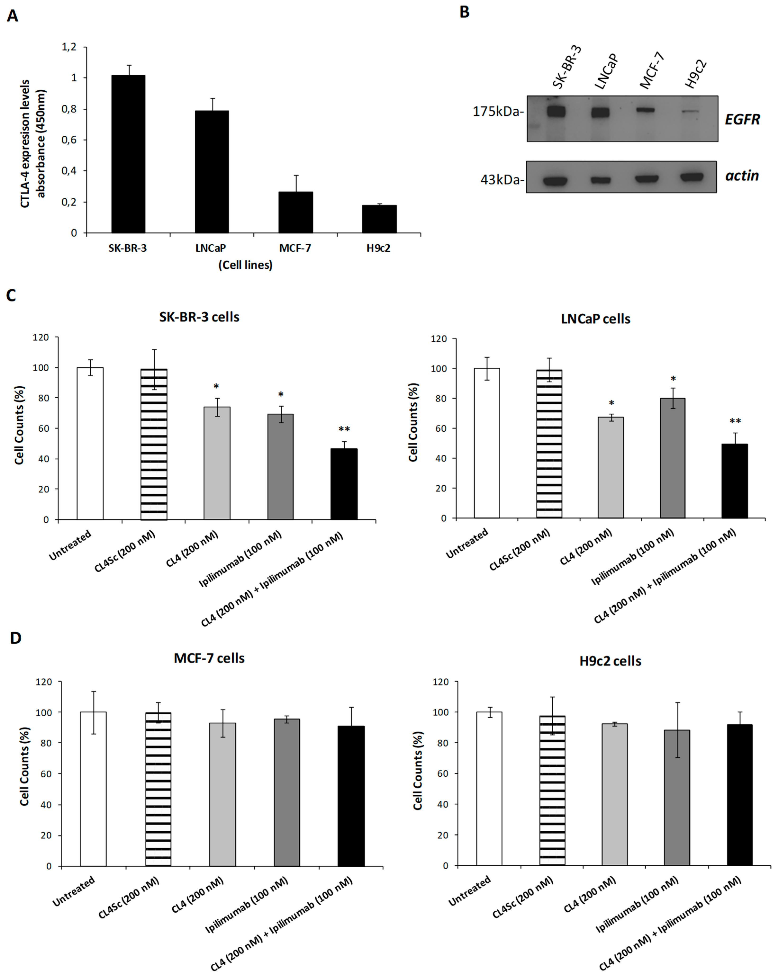 Cancers 12 00331 g001