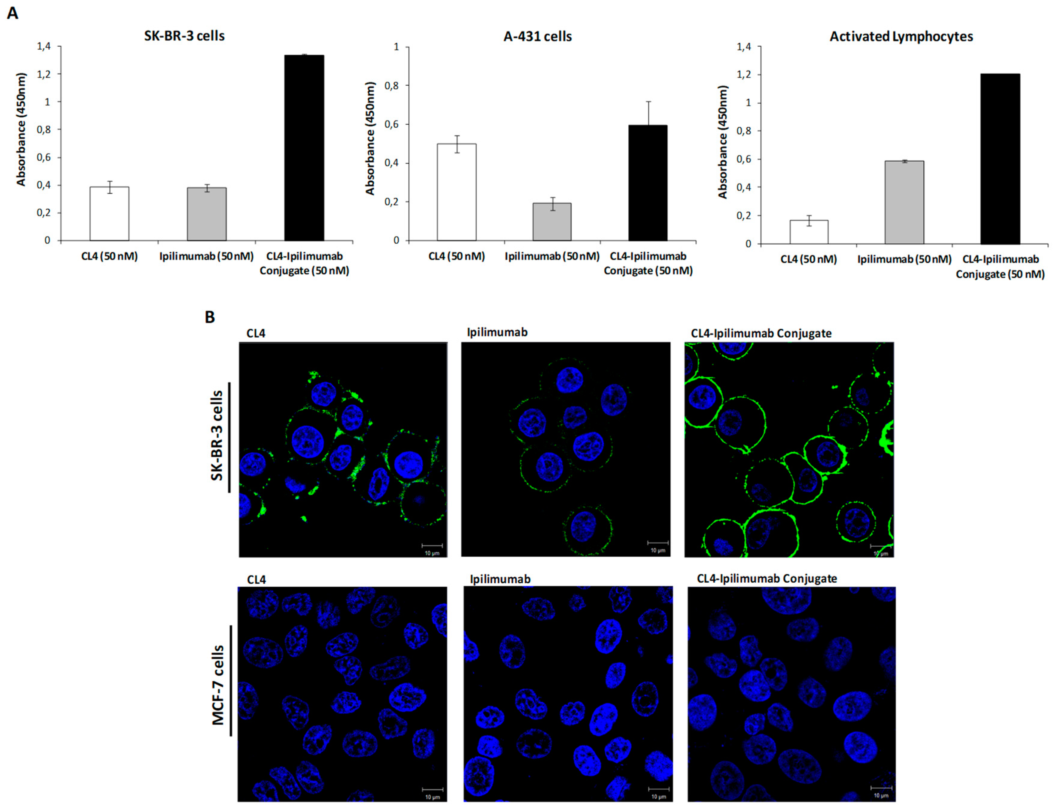 Cancers 12 00331 g002