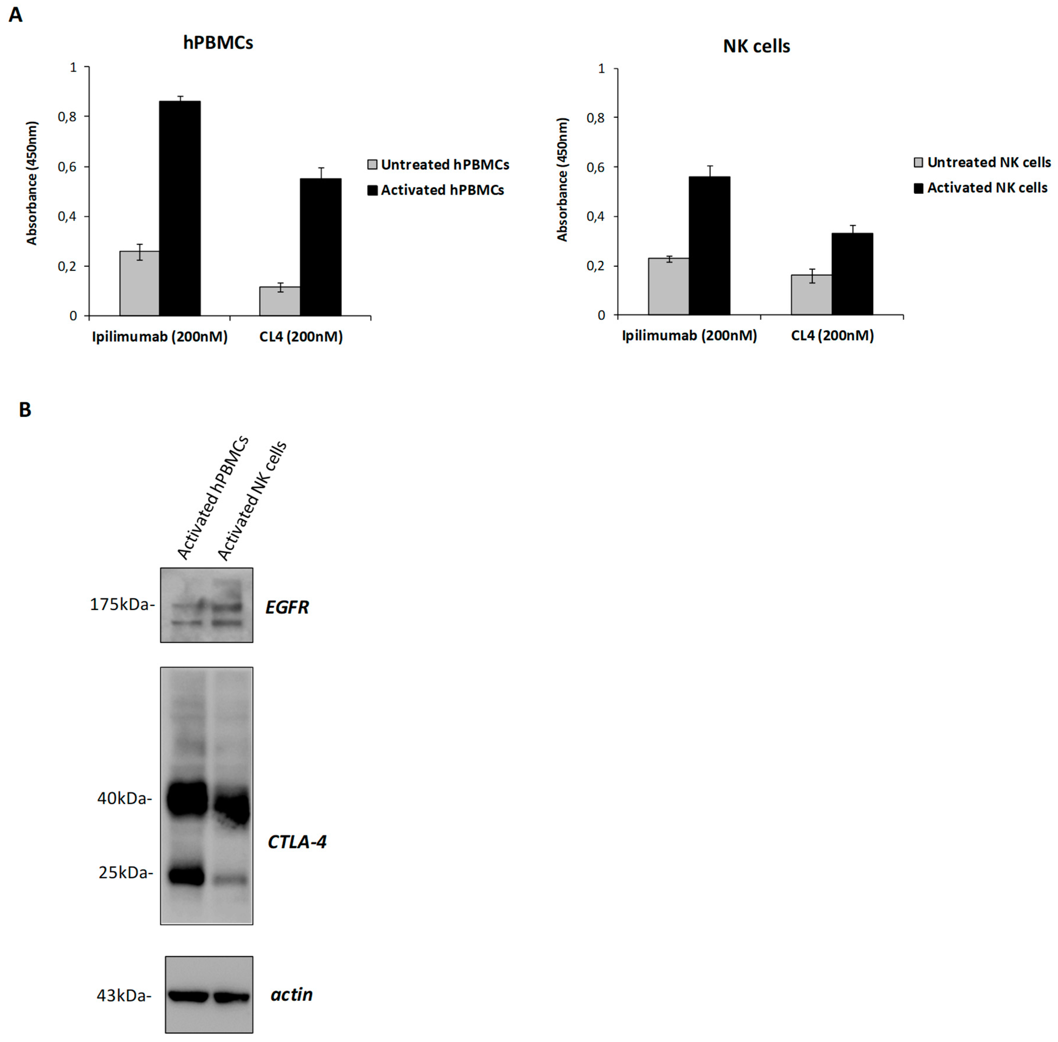 Cancers 12 00331 g005