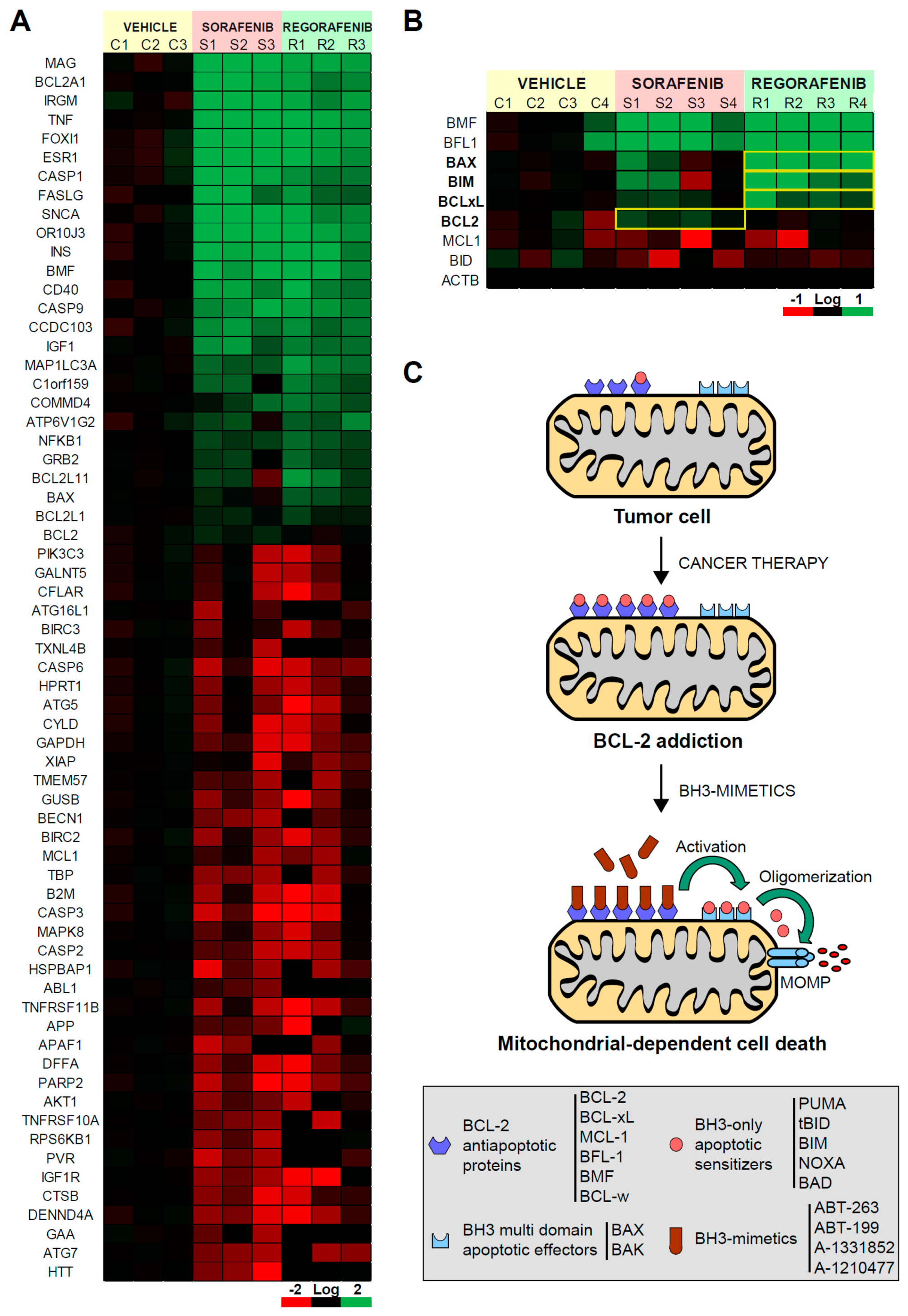 Cancers 12 00332 g001