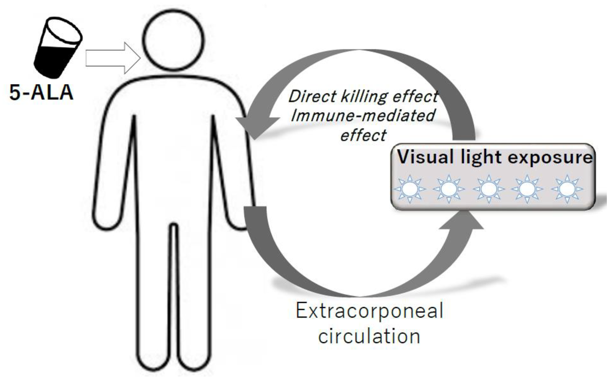 Cancers 12 00335 g004