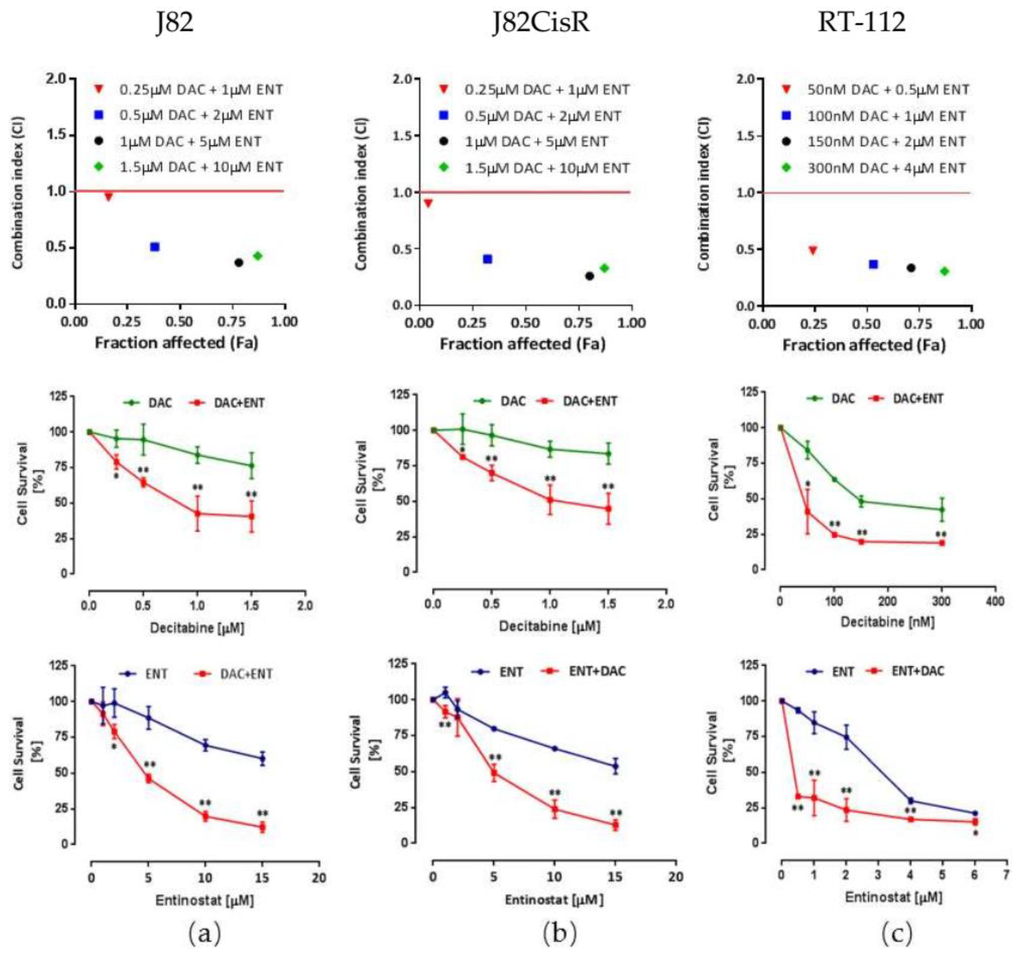 Cancers 12 00337 g002