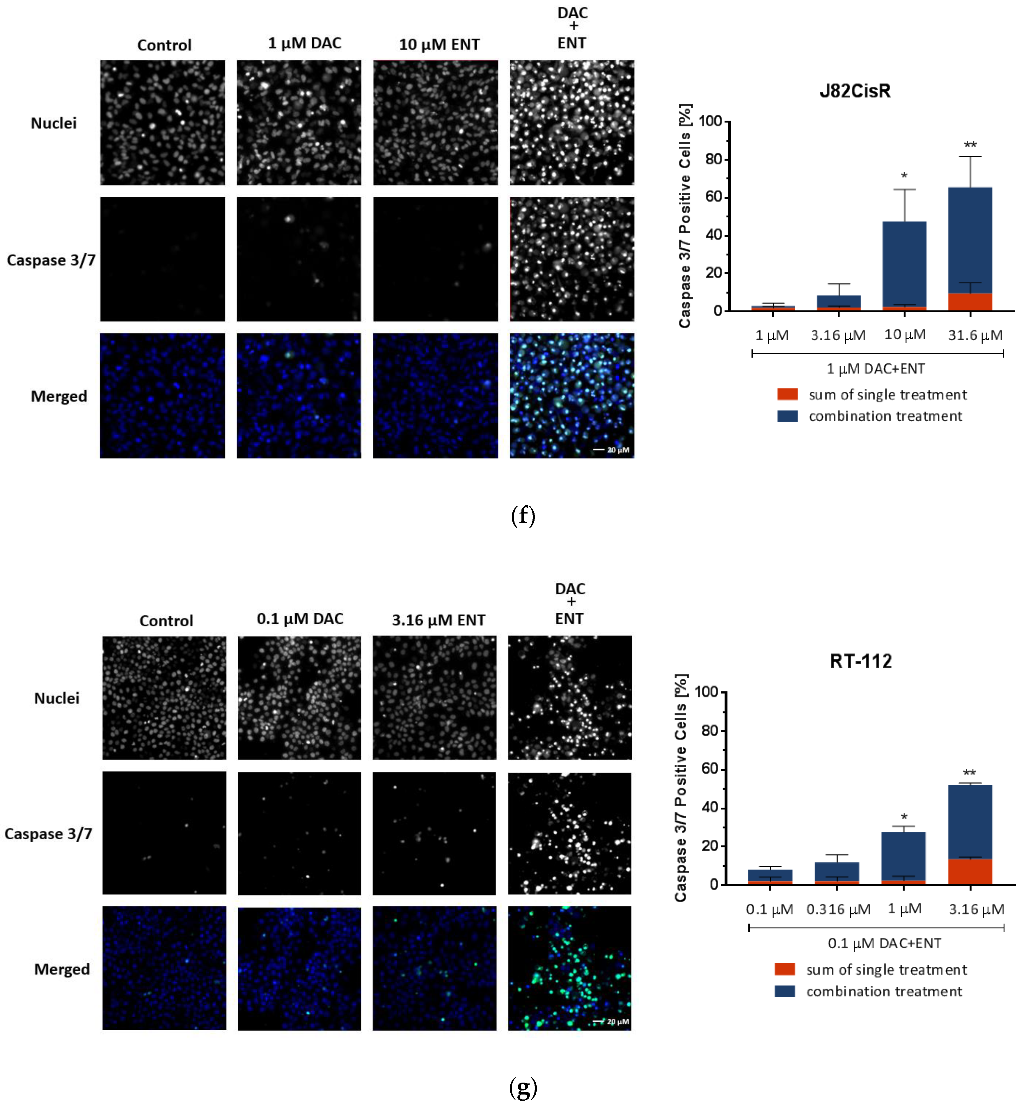 Cancers 12 00337 g003b
