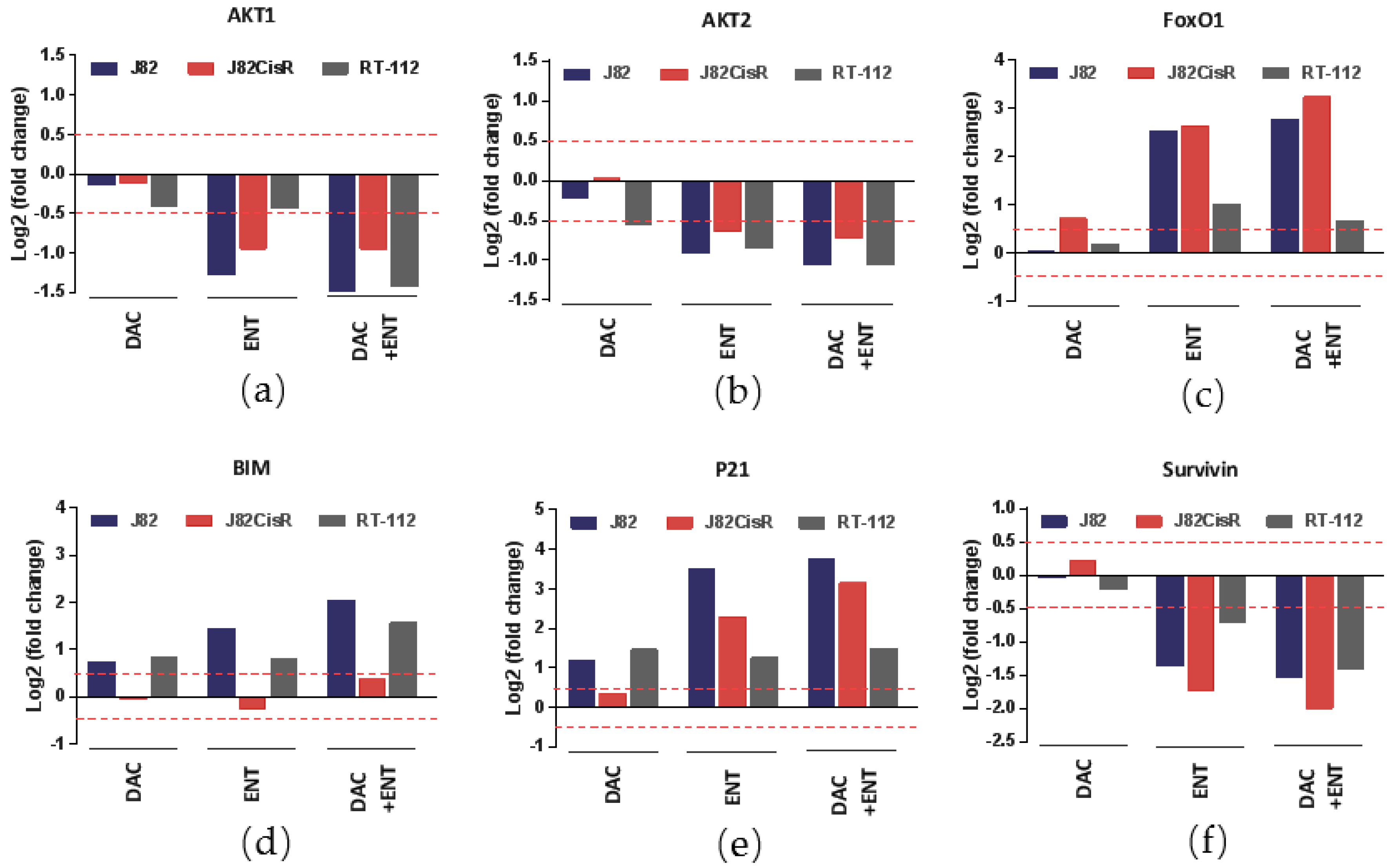 Cancers 12 00337 g005