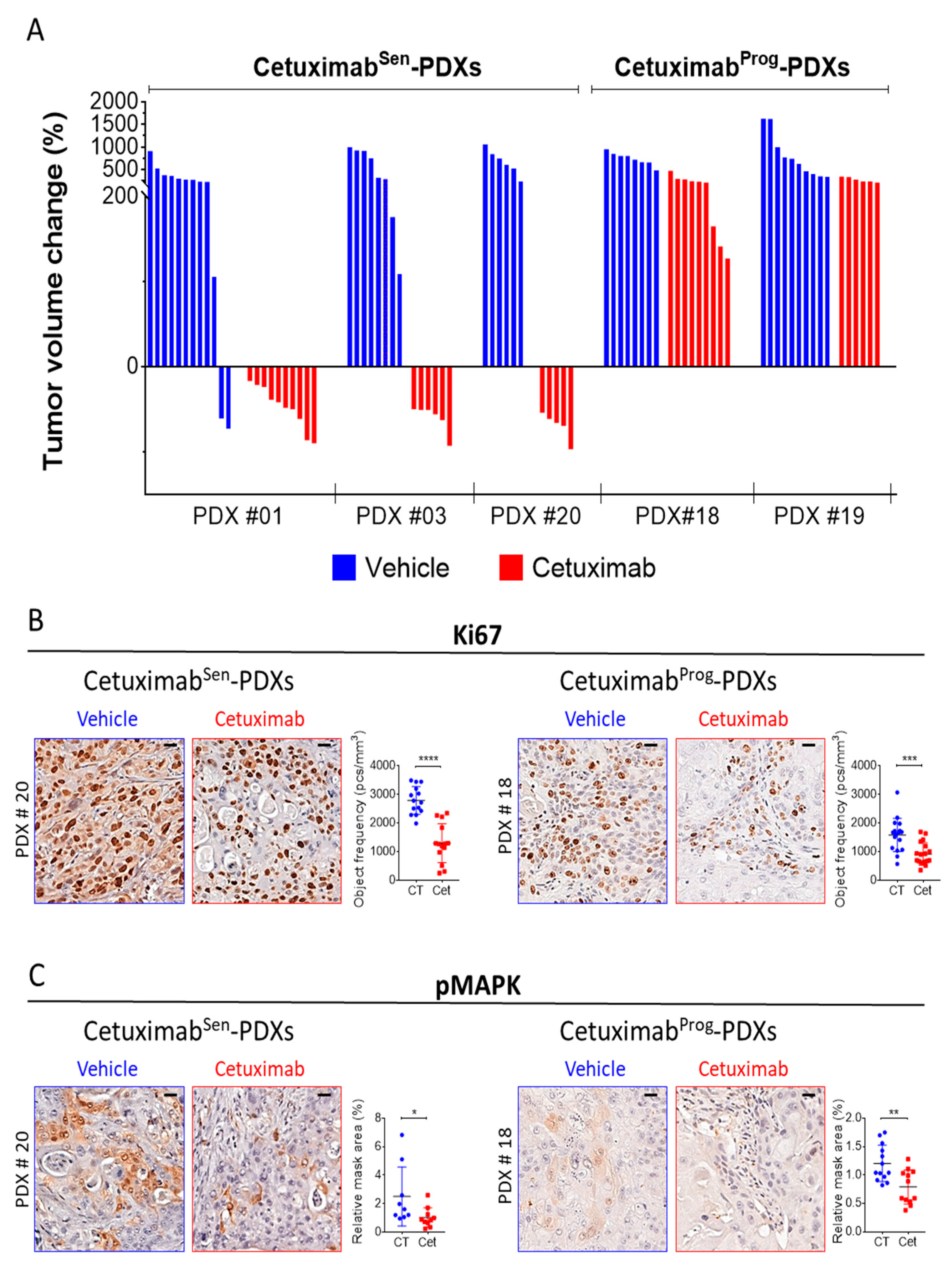 Cancers 12 00339 g001