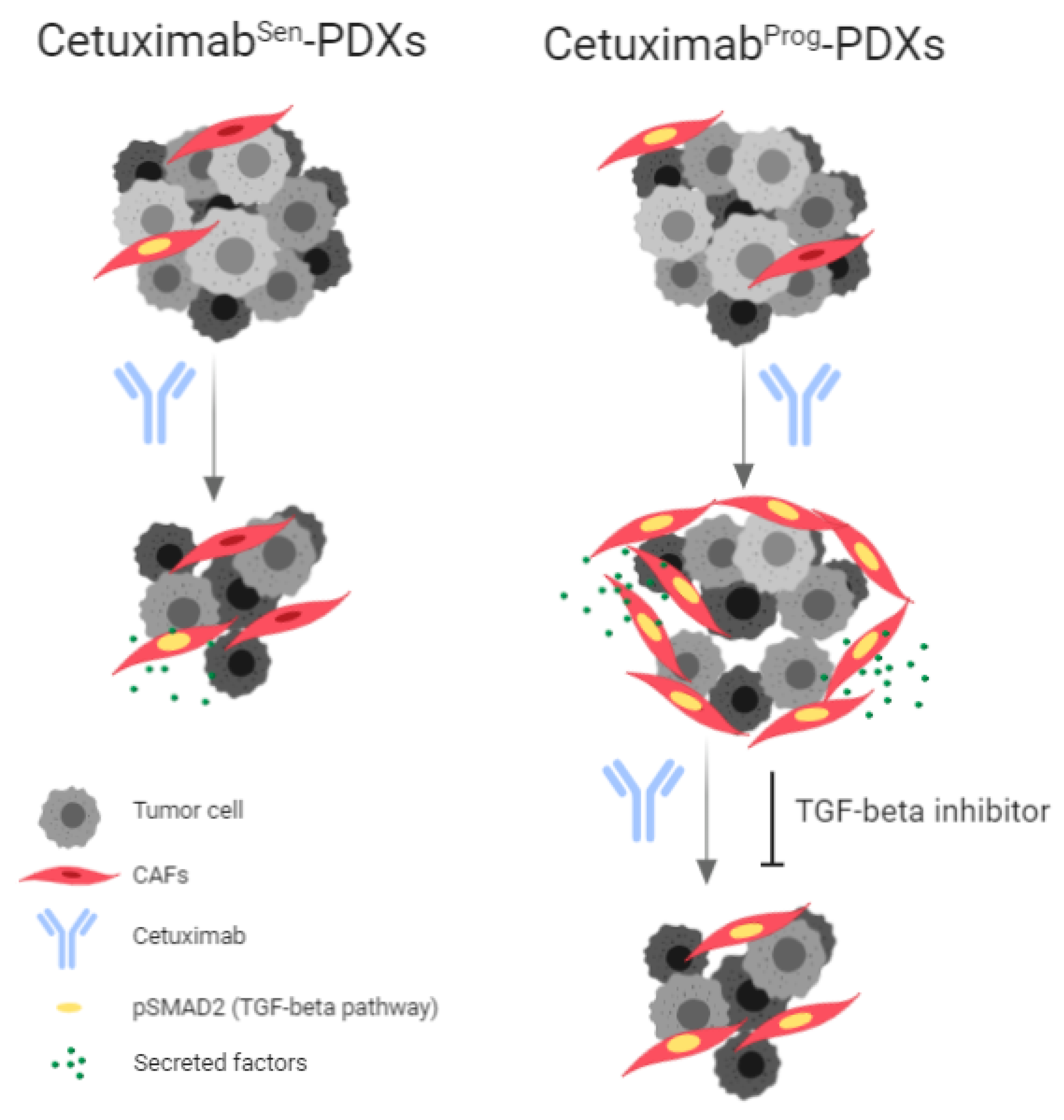 Cancers 12 00339 sch001