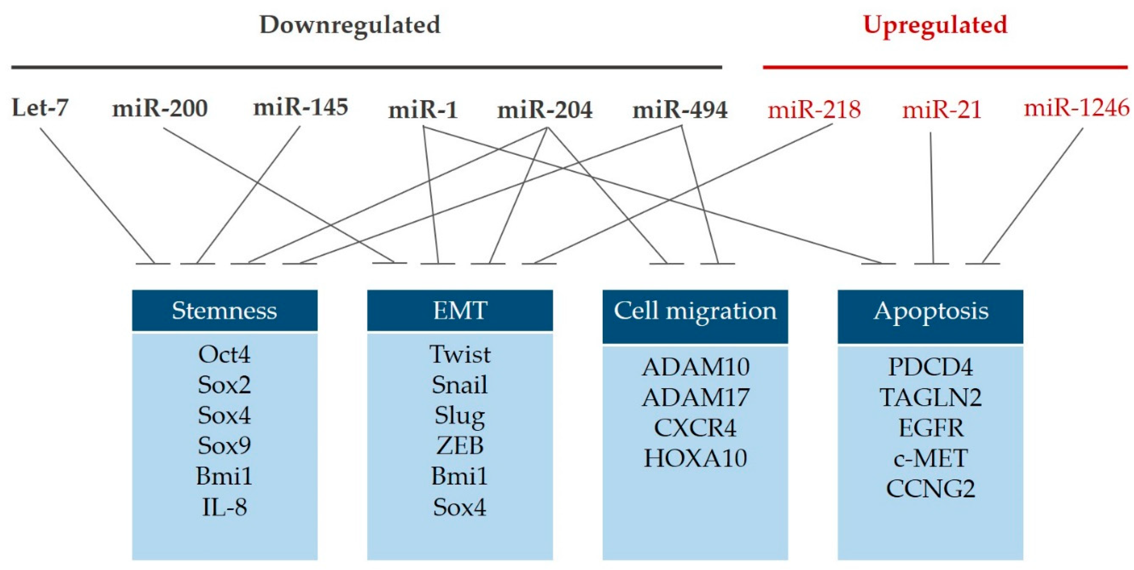 Cancers 12 00340 g001