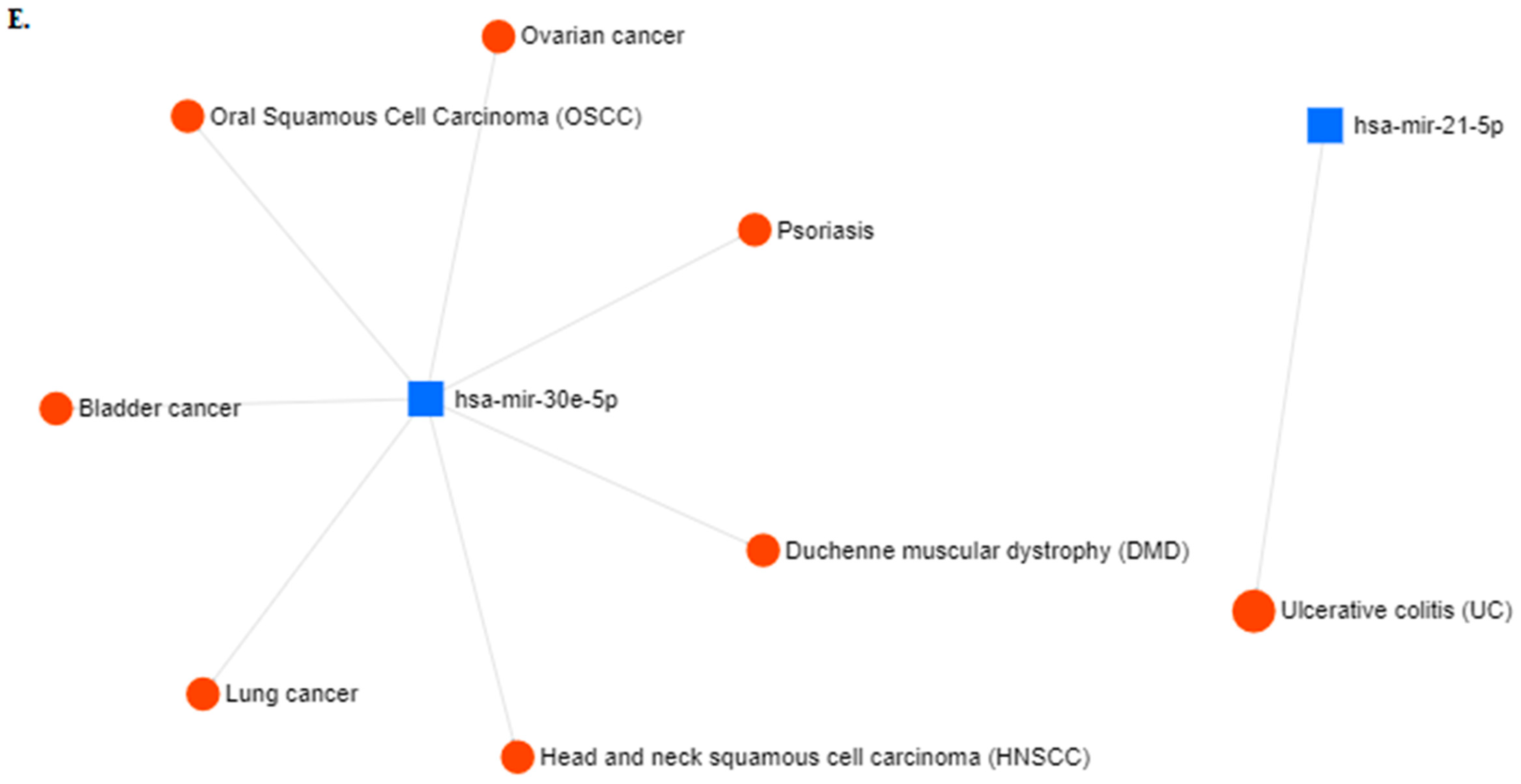 Cancers 12 00341 g002d