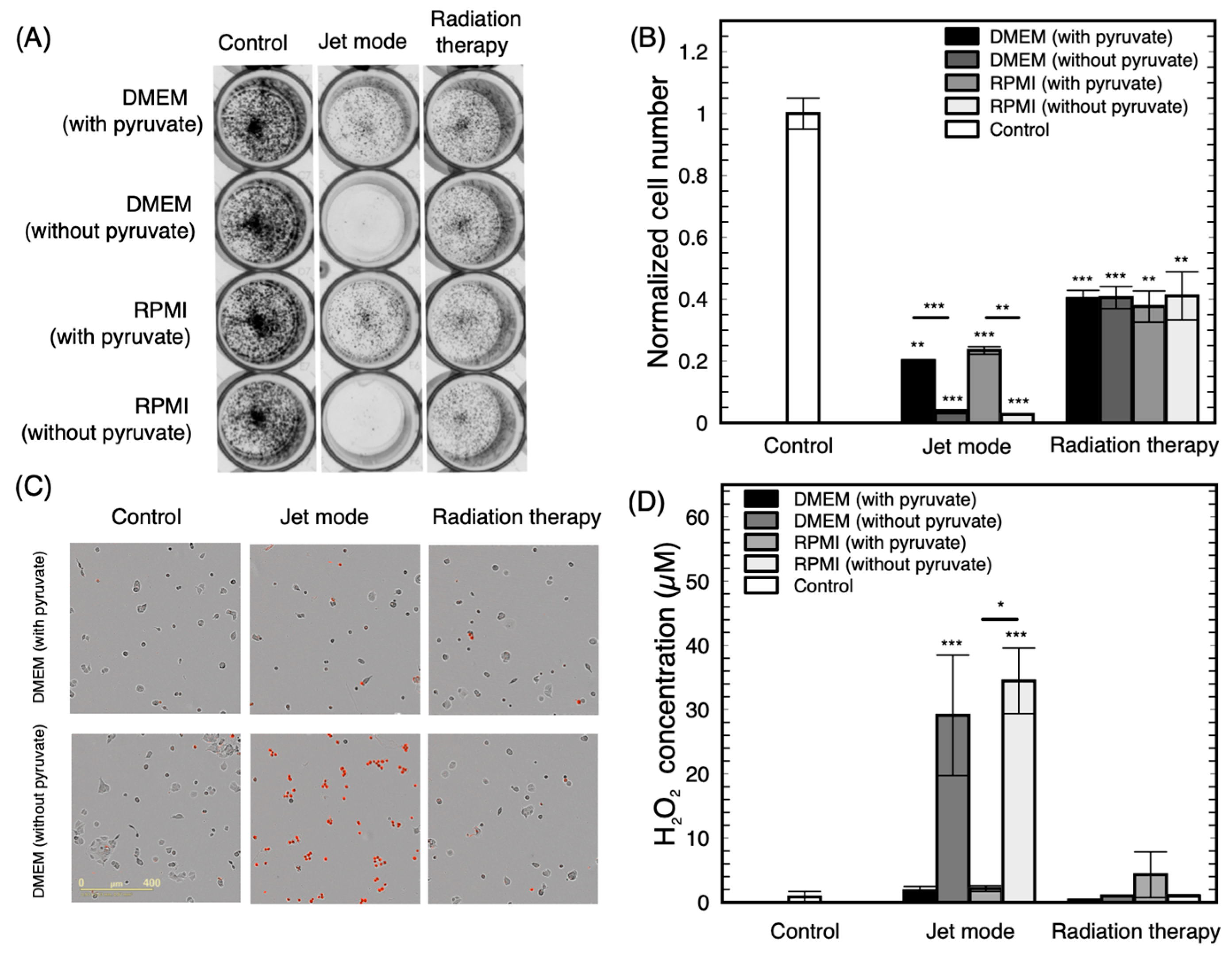 Cancers 12 00348 g0a1