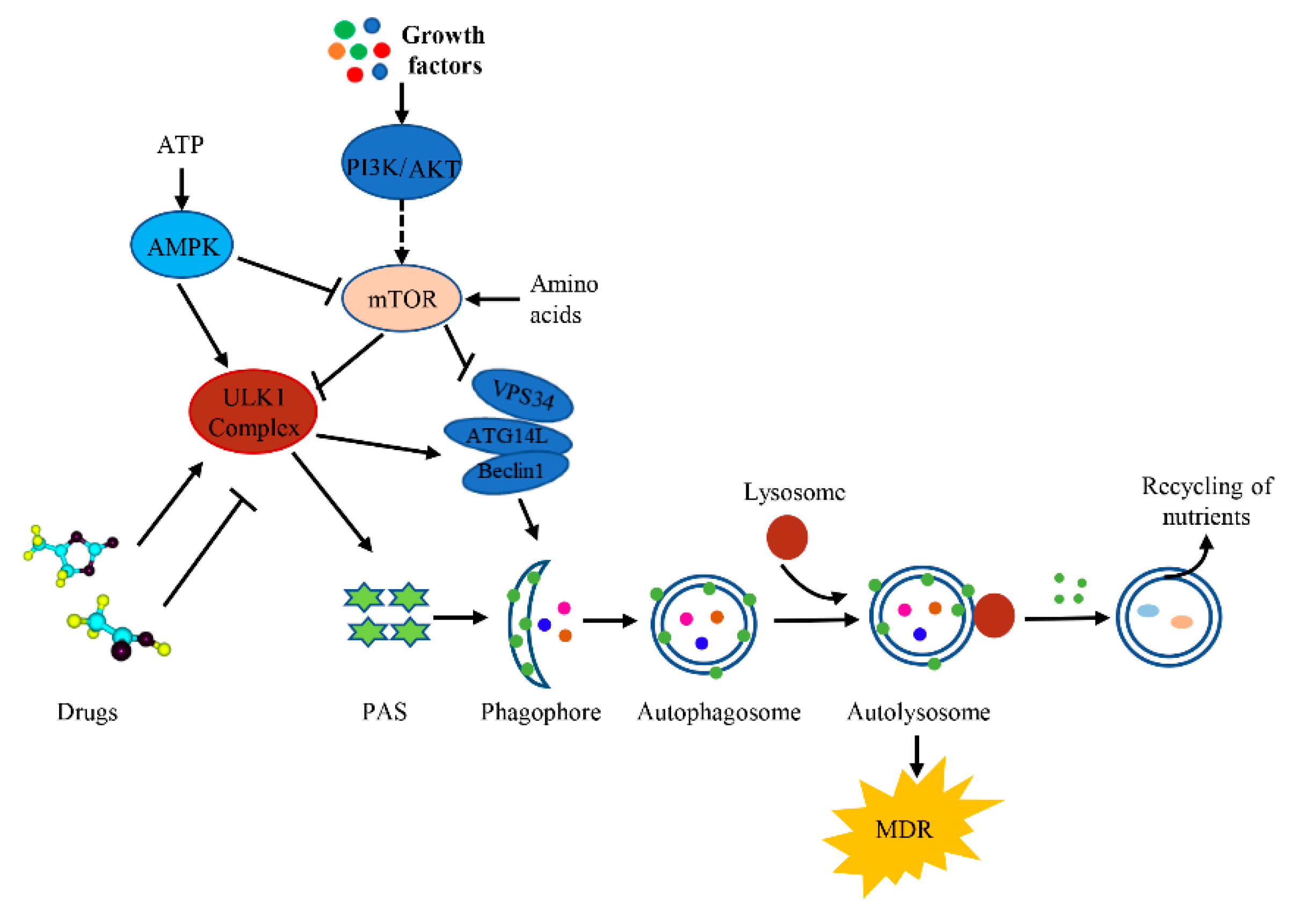 Cancers 12 00352 g003