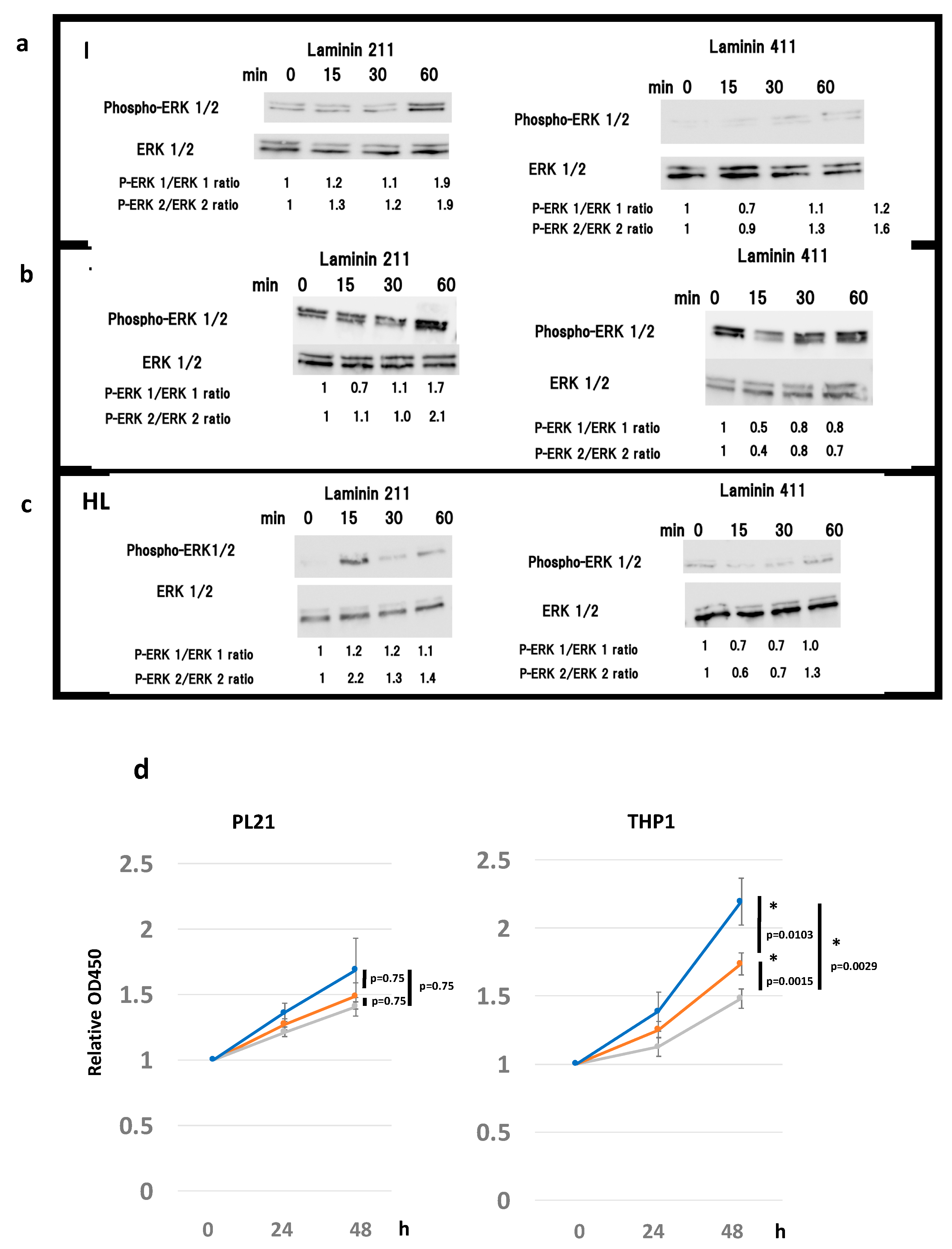 Cancers 12 00363 g003