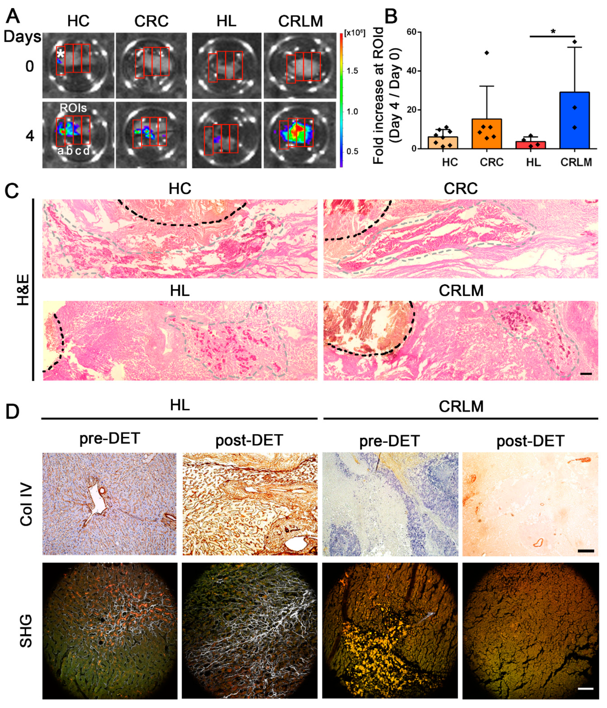 Cancers 12 00364 g003