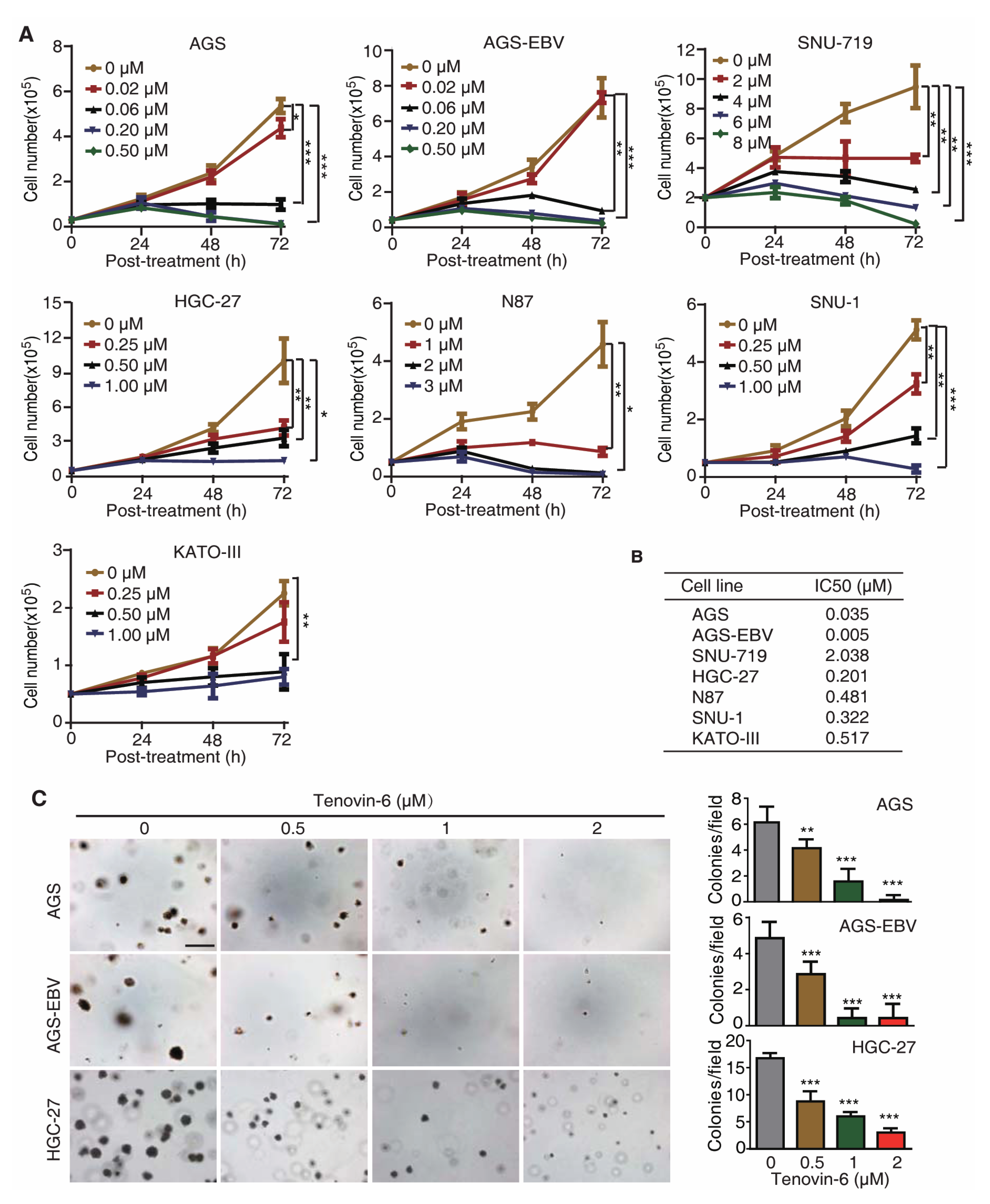 Cancers 12 00365 g001