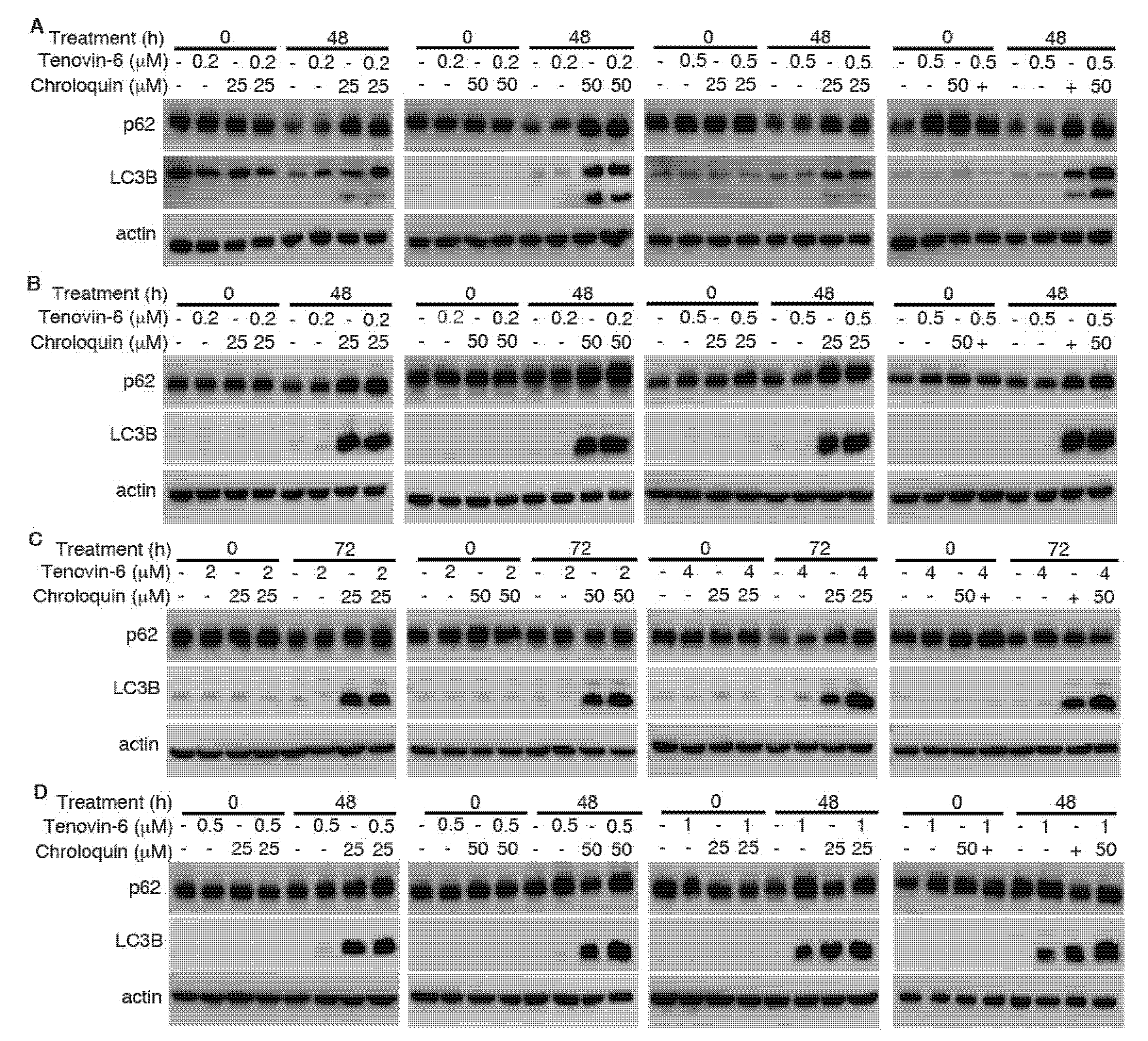 Cancers 12 00365 g006