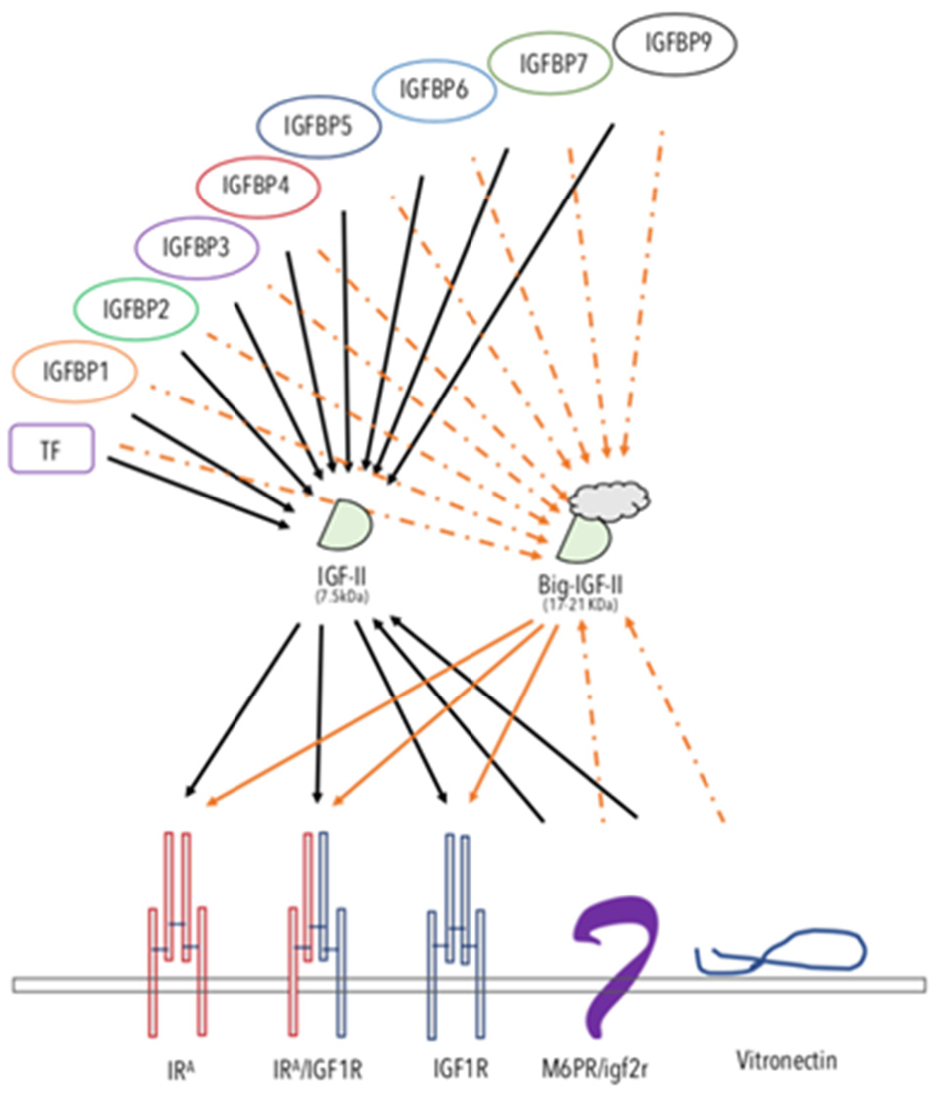 Cancers 12 00366 g002 Cancers 12 00366 g002